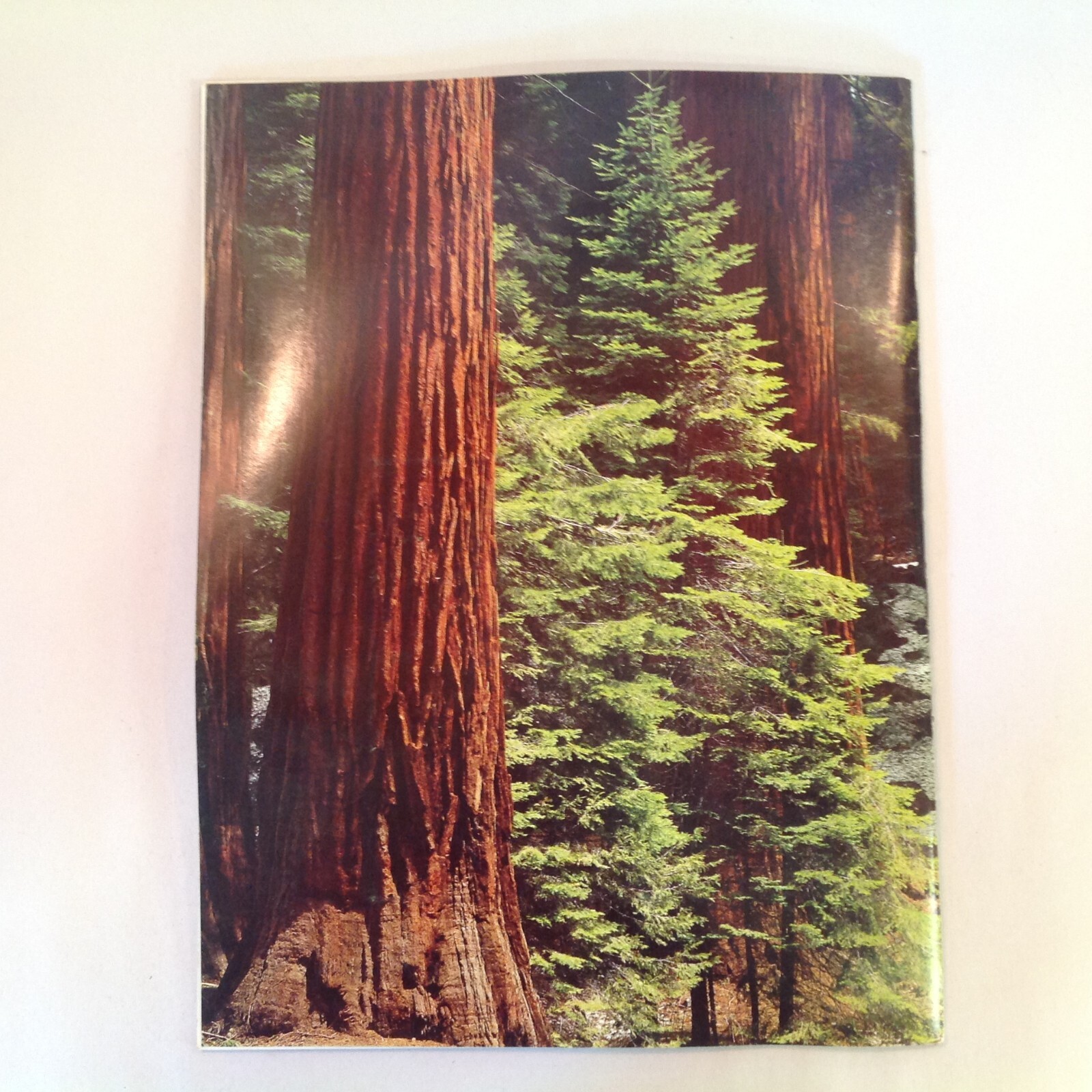 Vintage 1984 Souvenir Color Booklet Yosemite: The Story Behind the Scenery
