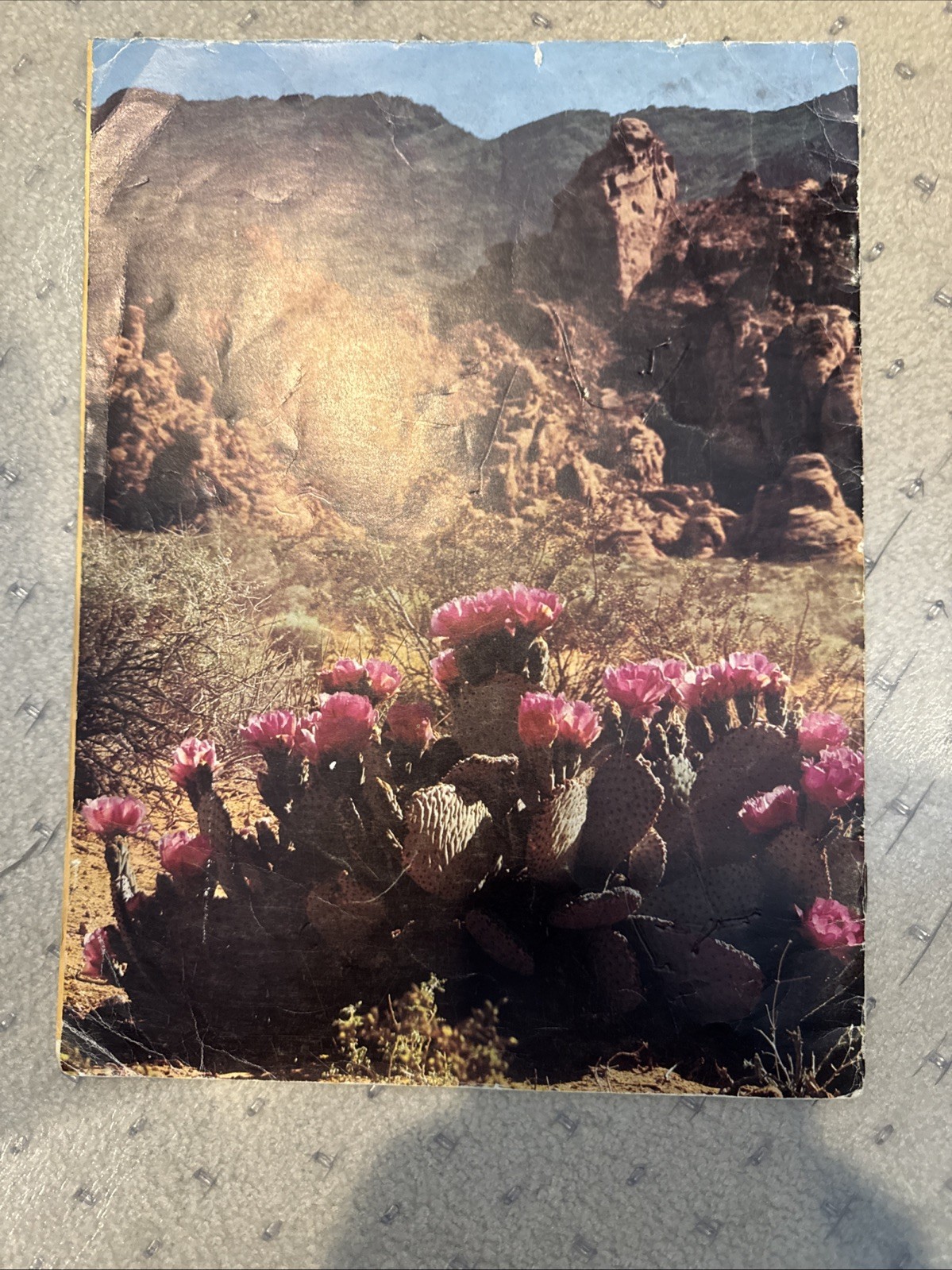Nevada Valley Of Fire Soft Cover 1976 Original