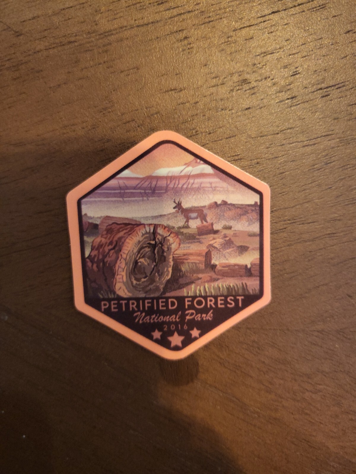 Petrified Forest National Park Sticker Decal