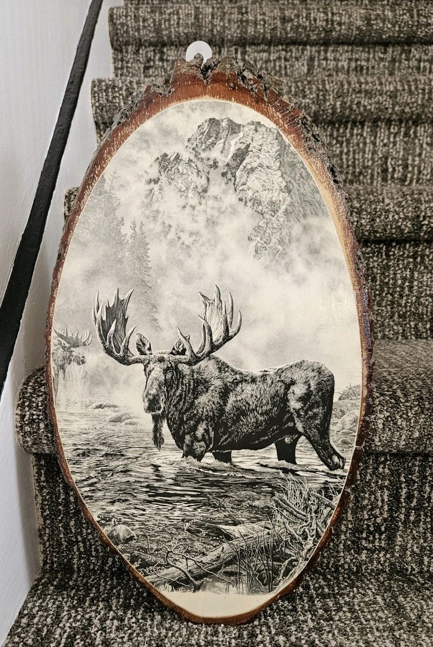 Bull Moose Rustic Wall Plaque Yellowstone National Park Souvenir Vintage 17×10