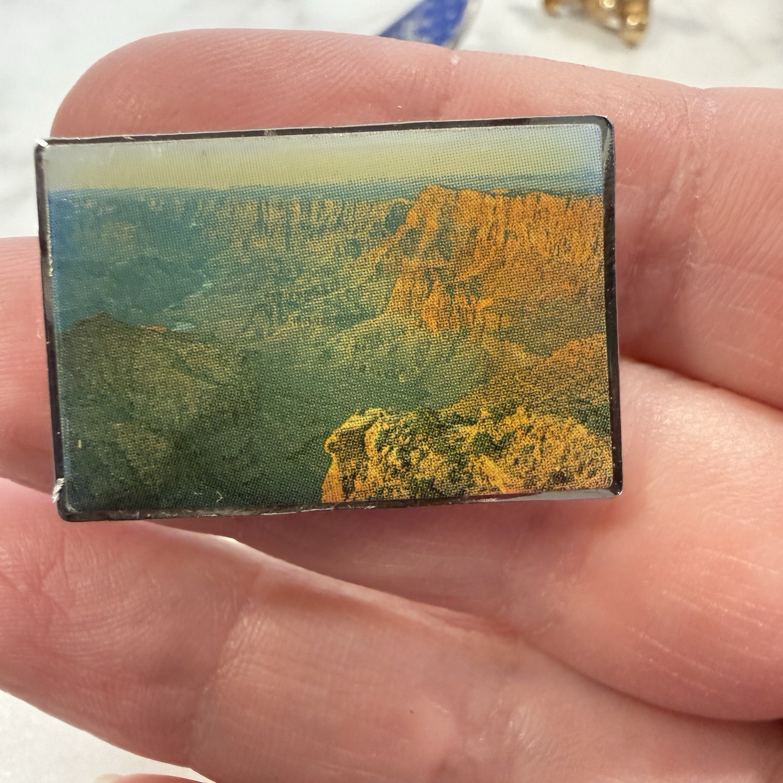 Grand Canyon National Park Lapel Pin Photo Picture Landscape Travel Souvenir