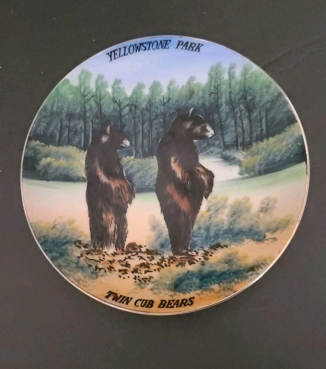 Vintage EARLY YELLOWSTONE NATIONAL PARK SOUVENIR 8″ Wall Plate Twin Bear Cubs