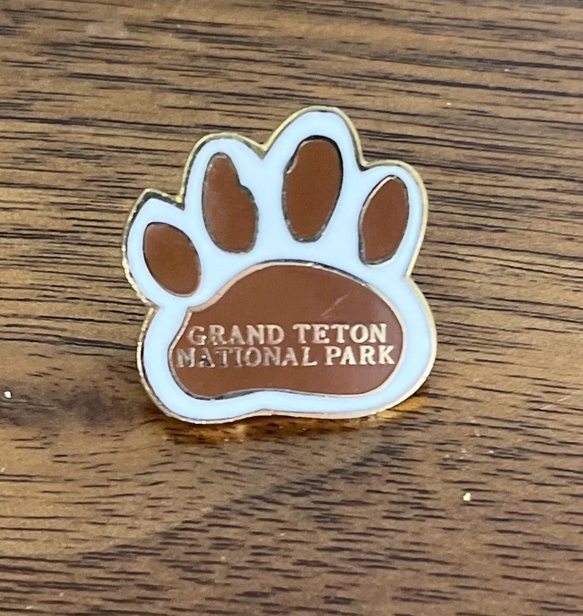 Grand Teton National Park Tourist Travel Souvenir Collector Pin Wyoming Outdoor
