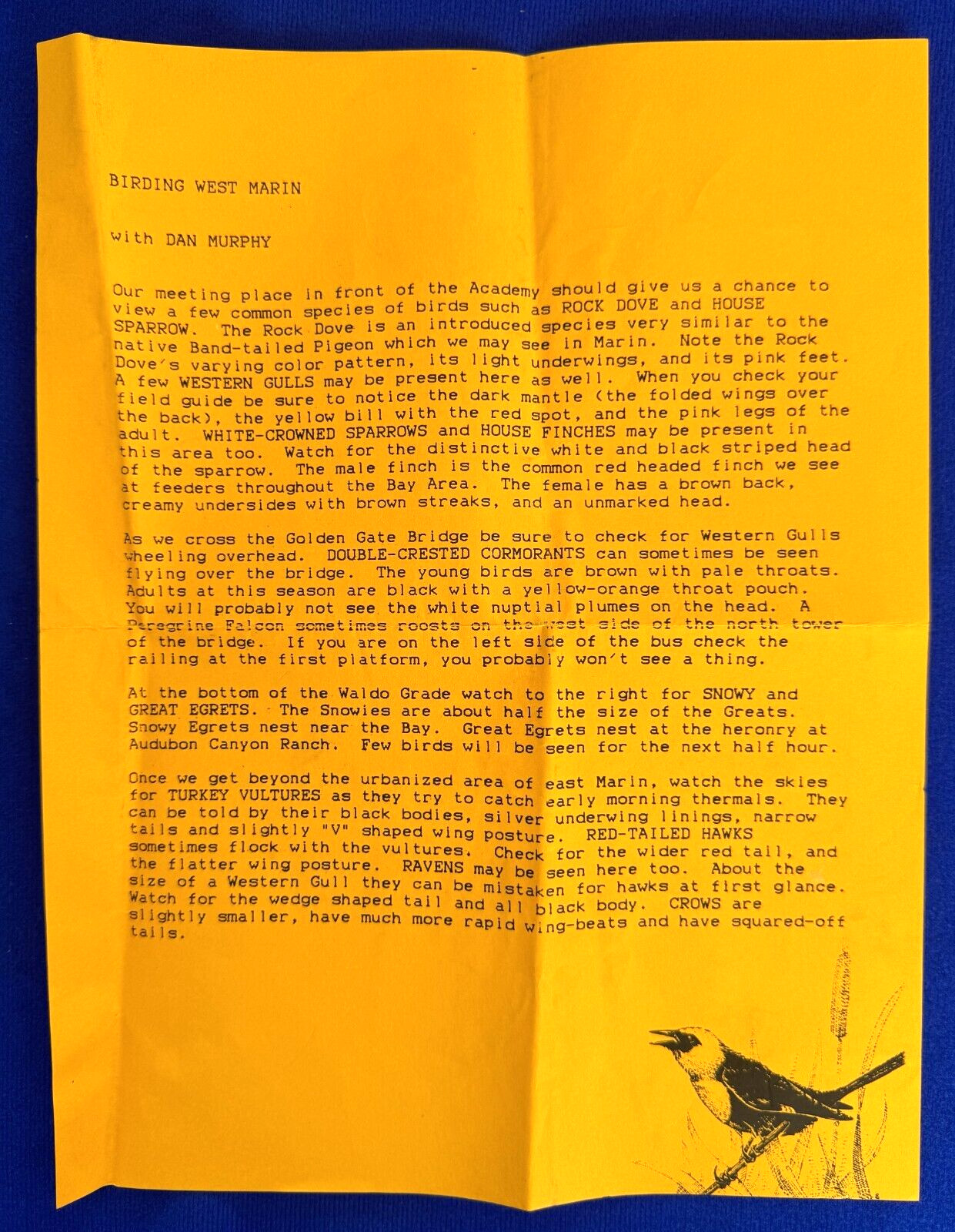 Vintage 1992 Birding West Marin San Francisco Bay Area CA Letter with Dan Murphy