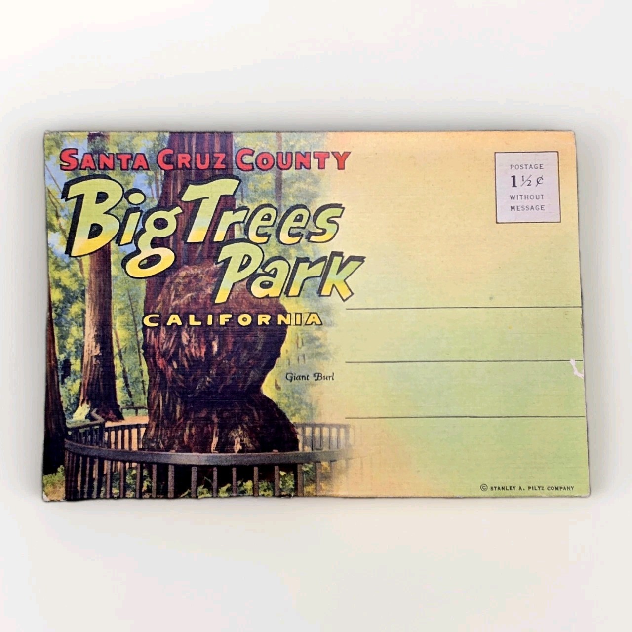 Vintage California Big Trees Park Souvenir Postcard Folder 18 Images