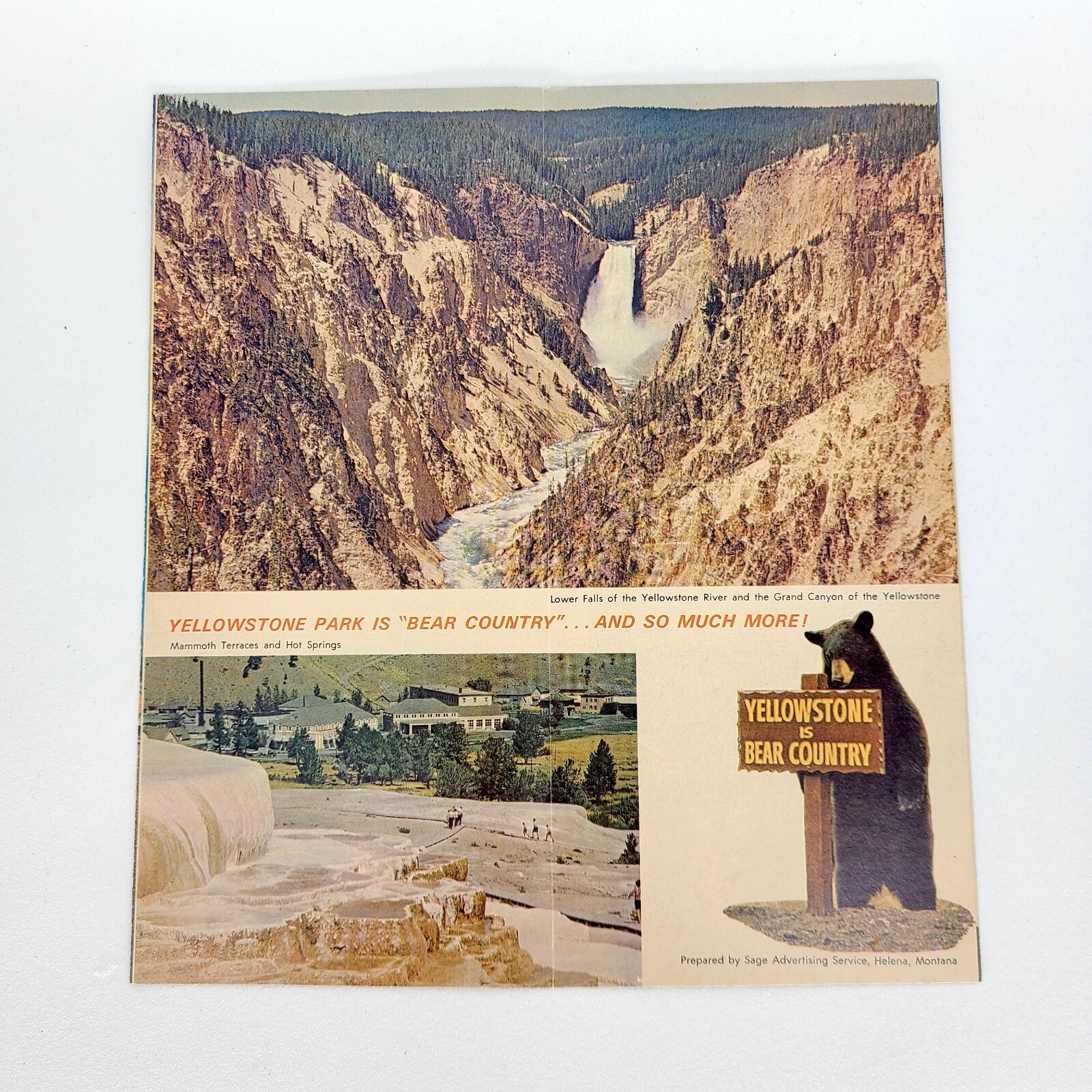 1960s Yellowstone National Park Vintage Travel Brochure Wyoming Geyser Bear
