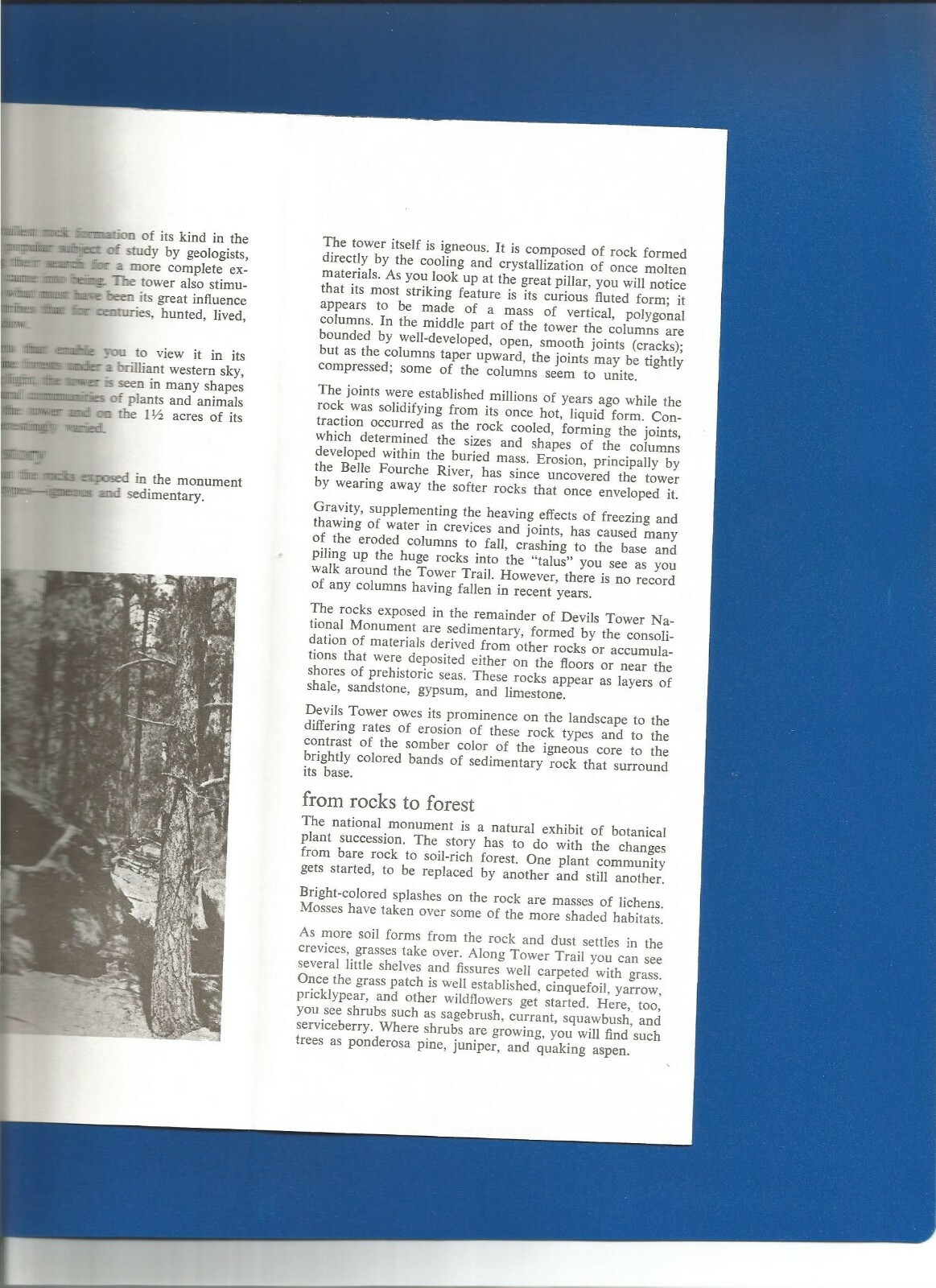 NATIONAL PARK SERVICE DEVILS TOWER WY BROCHURE/FLYER WITH PRAIRIE DOG 1975