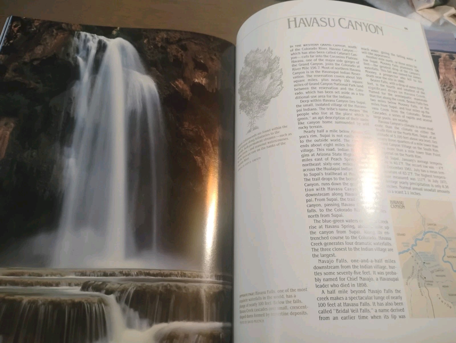 US National Parks Book Lot of 5 Yosemite Grand Canyon Zion Arches Canyonlands