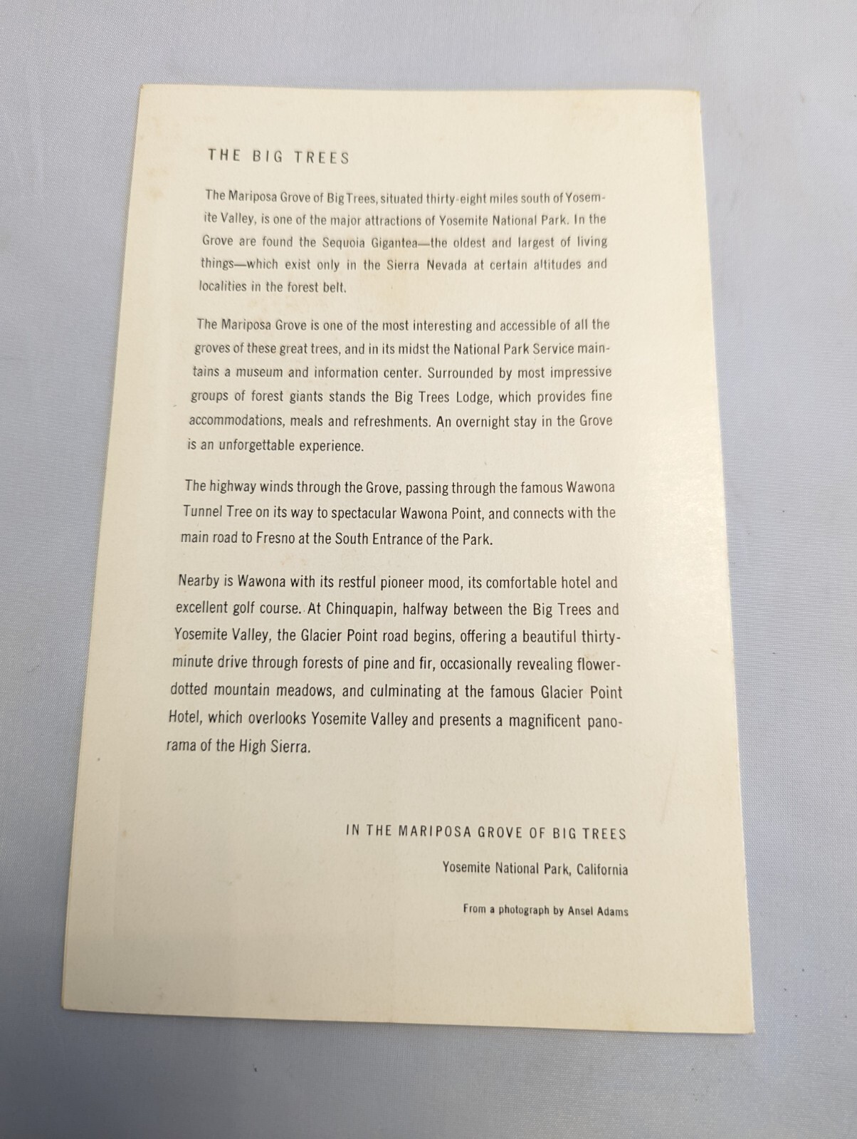 YOSEMITE AHWAHNEE MENU Jul 4 53 5.5×8.5″ Ansel Adams Mariposa Grove