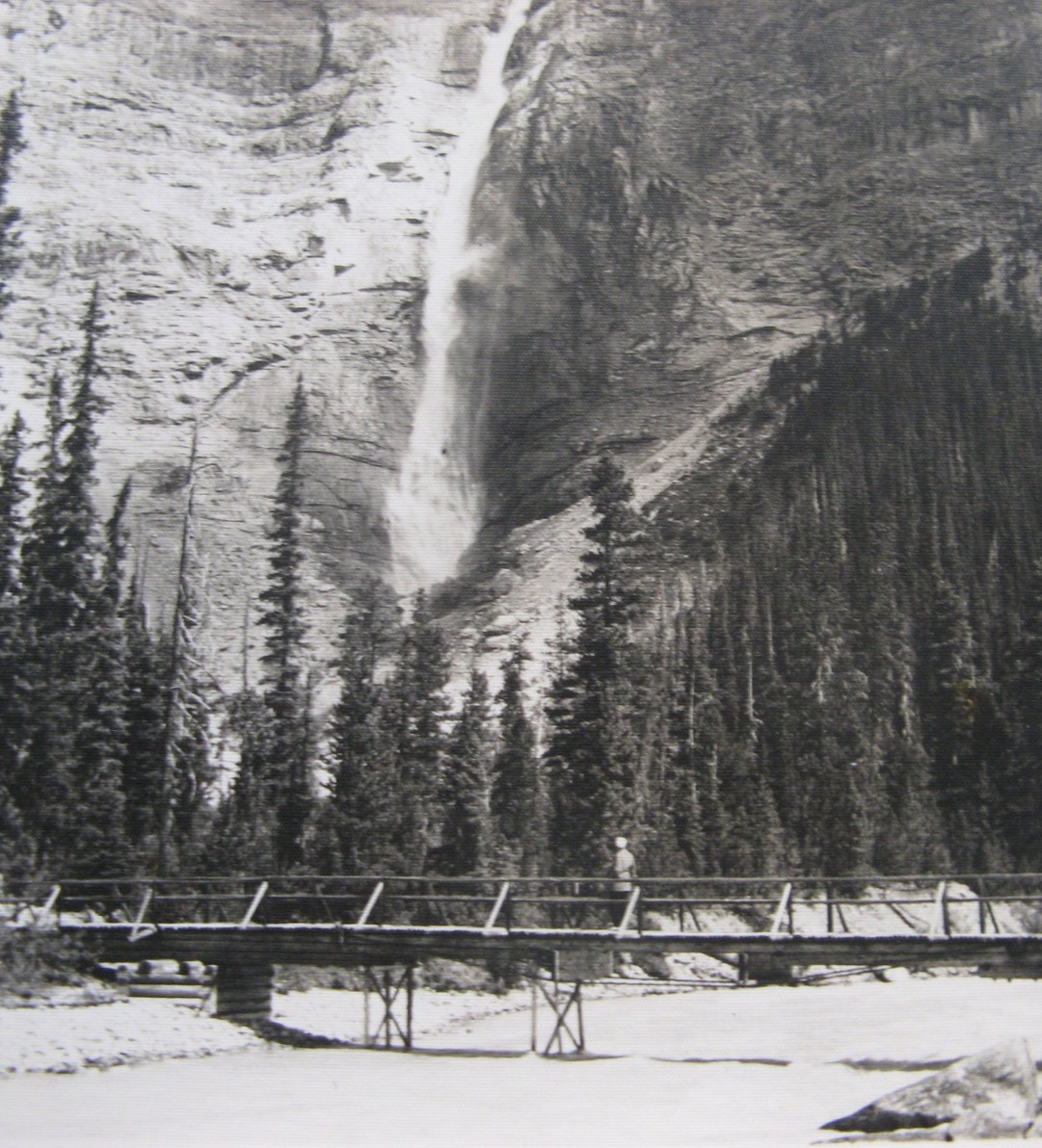 ’30s YELLOWSTONE PARK 51 PHOTO SET 8x10s & rppc size STUNNING! w GLACIER & BANFF