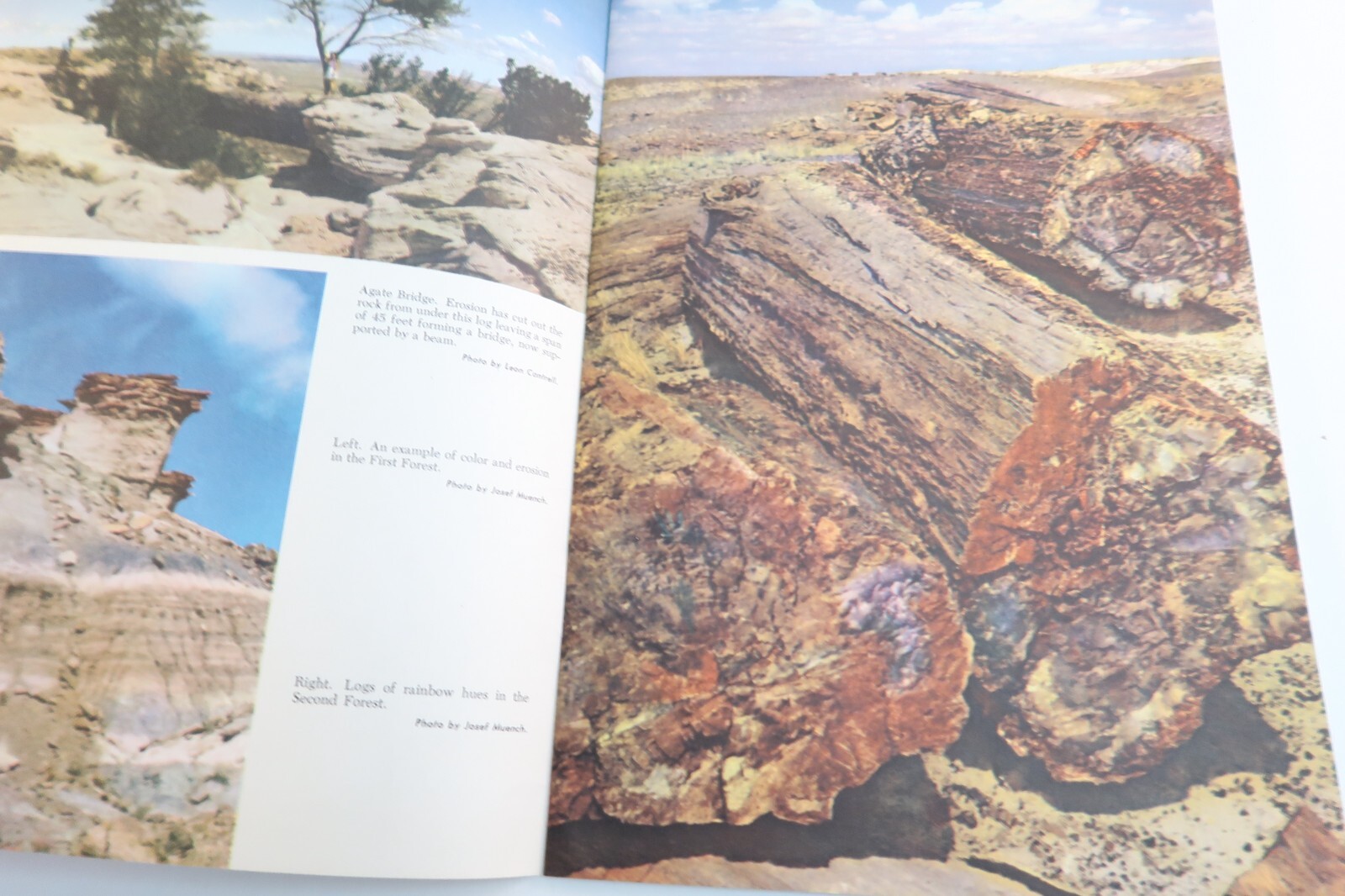Agatized Rainbows A Story of the Petrified Forest Travel Souvenir Book 1951