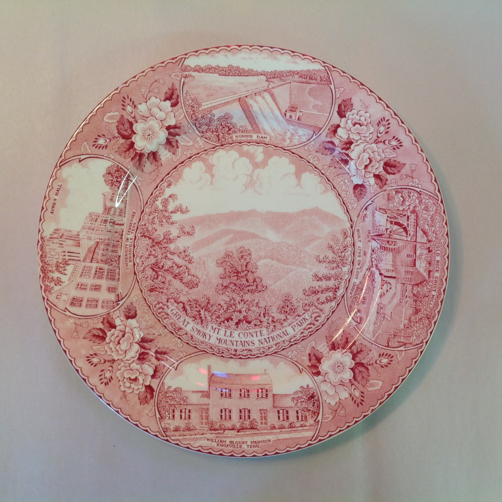 Vtg Red Transferware Old Staffordshire Plate Great Smoky Mountains Nat’l Park