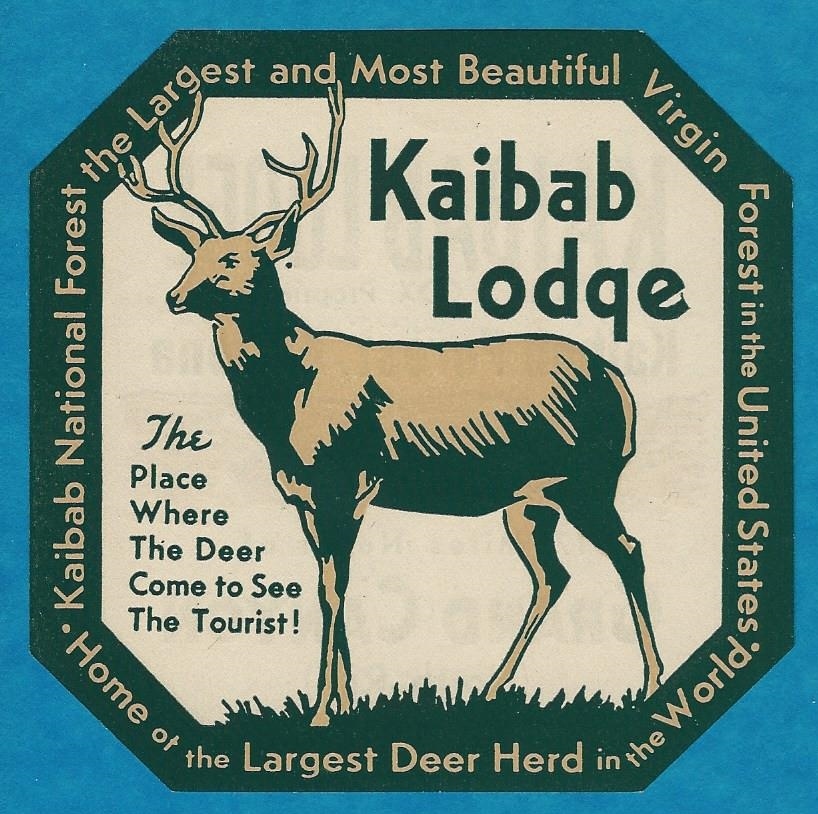 VINTAGE ORIGINAL 1946 “KAIBAB LODGE” KAIBAB FOREST ARIZONA TRAVEL DECAL ART