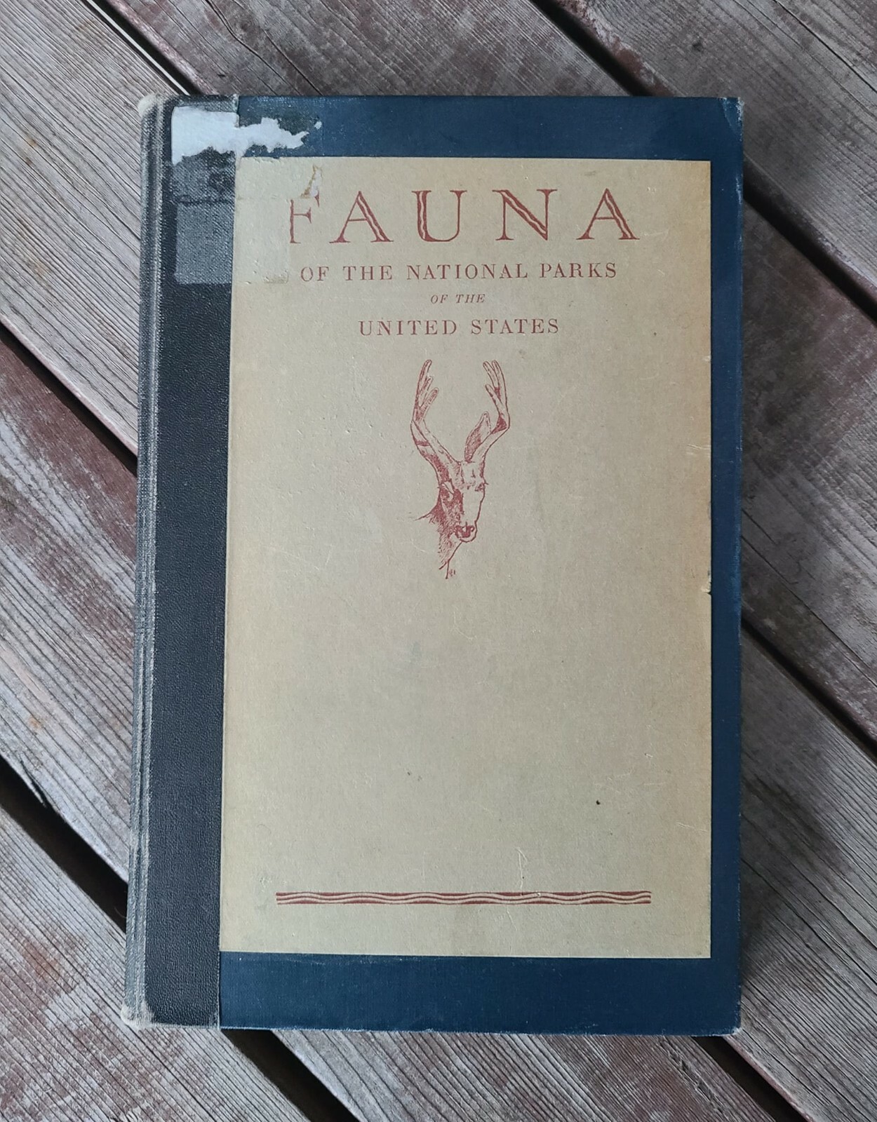 Fauna of the National Parks of the United States (1933) VINTAGE RARE Park Book