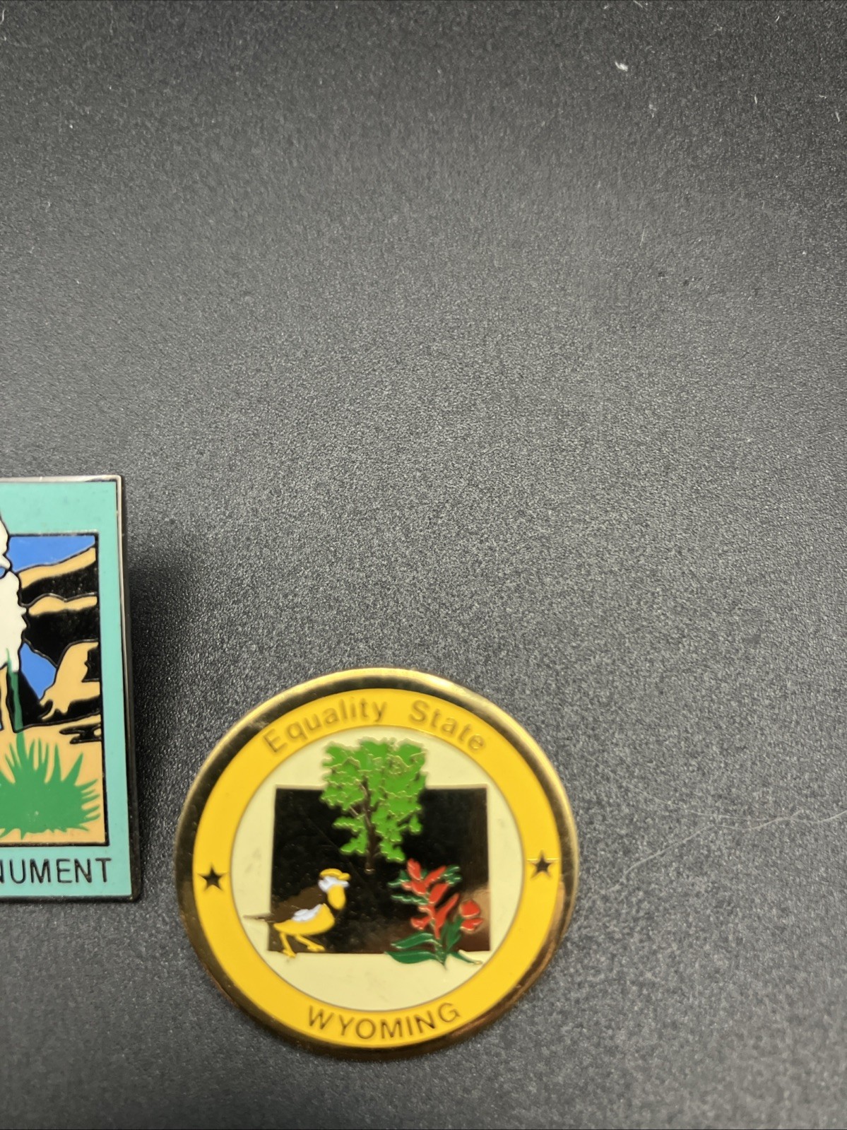 Various National Park Souvenir Lapel Pin
