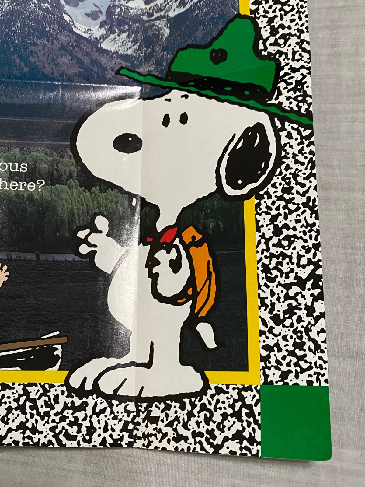 1990s National Park Foundation Snoopy Presents Parks As Classrooms Poster