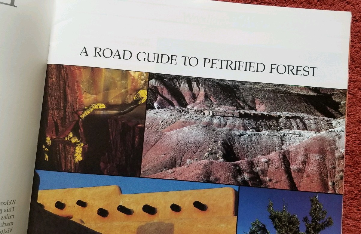 Earth Journey A Road Guide To The Petrified Forest 1984 by Stephen Trimble