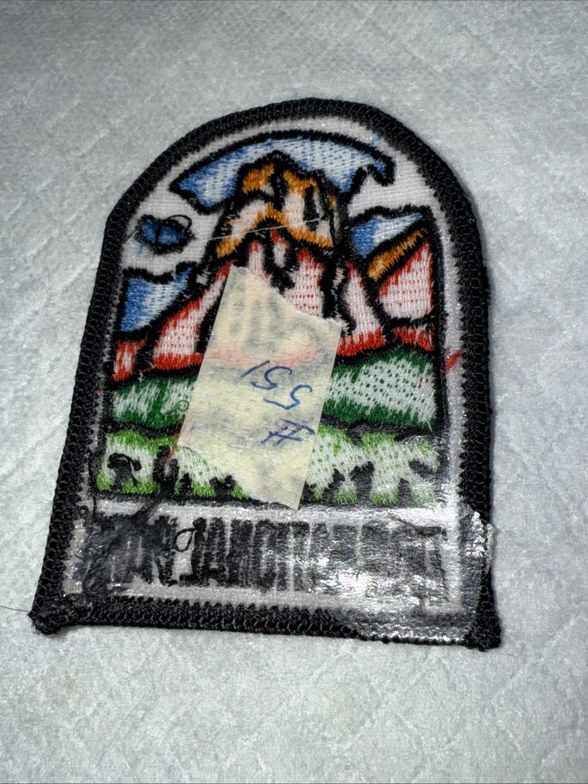 NIP Zion National Park Utah Red Rock Formation Souvenir Embroidered Patch #551
