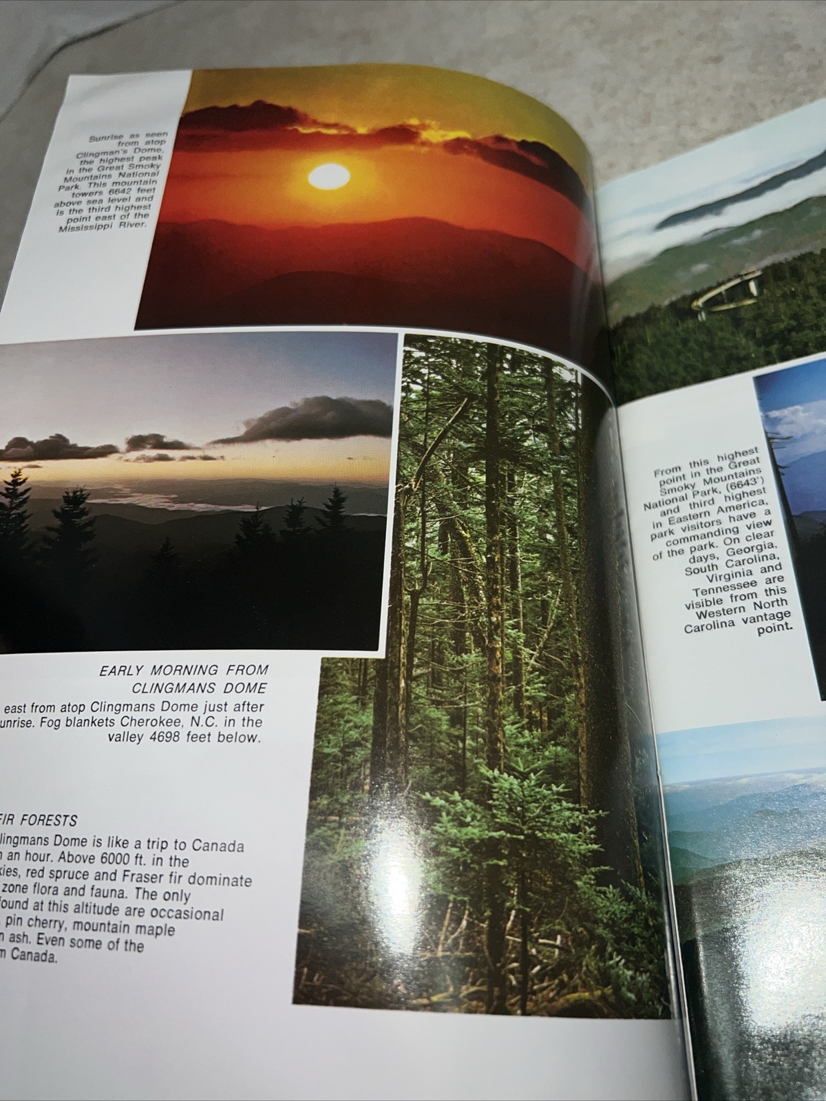 Great Smoky Mountains National Park Full Color Book North Carolina Tennessee