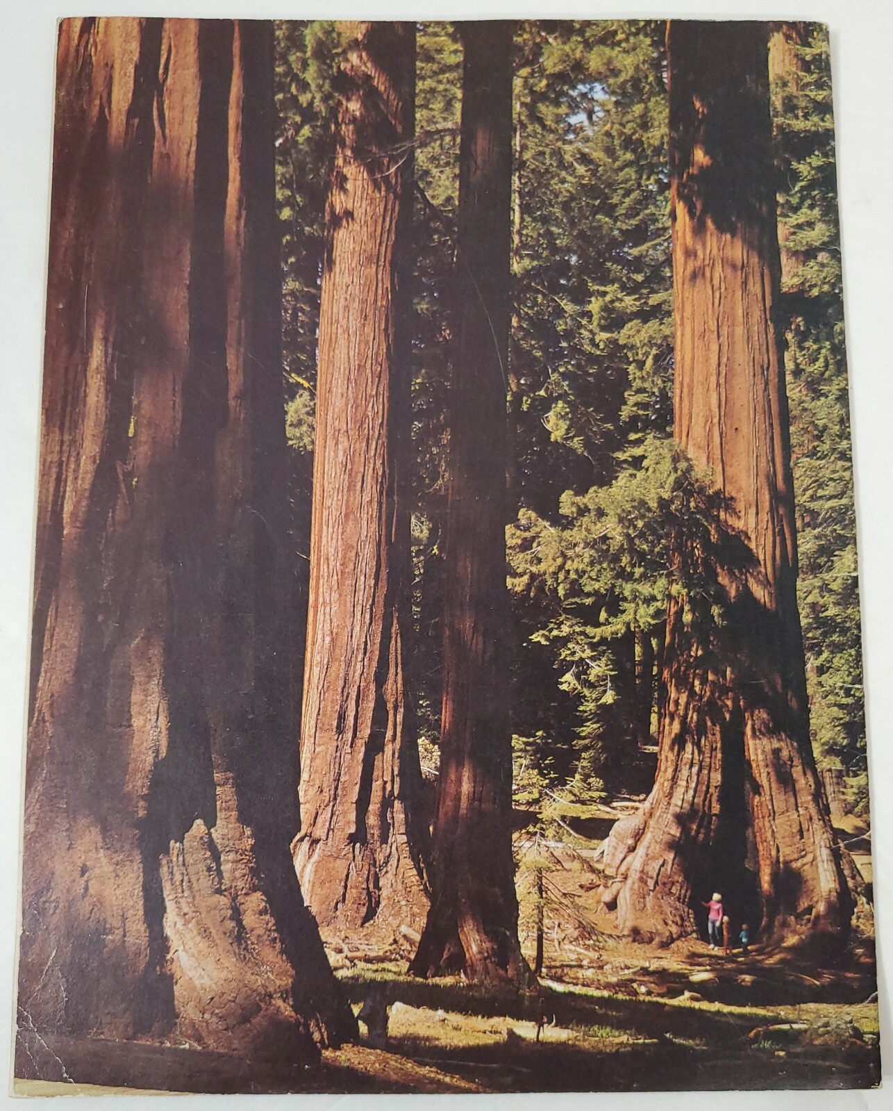 Yosemite The Story Behind the Scenery ’71 Muench Souvenir Paperback Picture Book