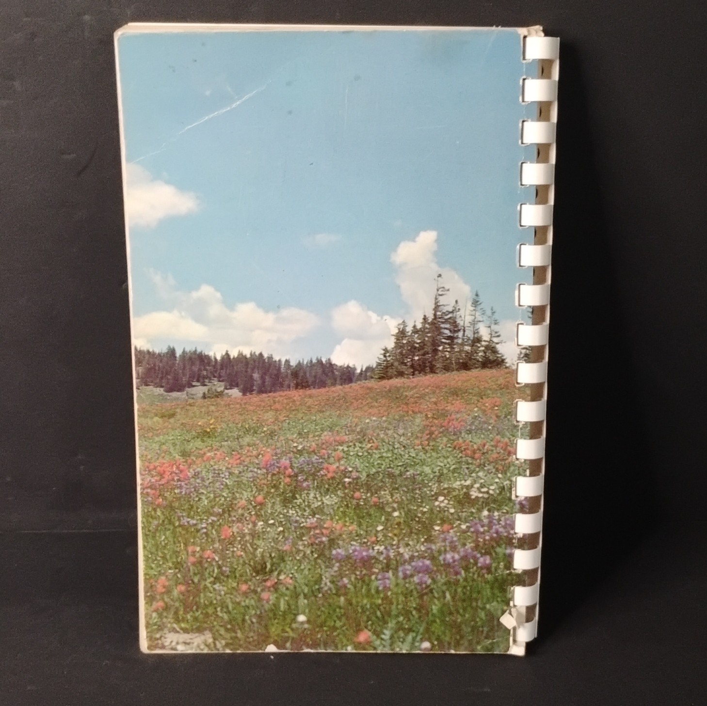 Wild Flowers of Zion Bryce Canyon Cedar Breaks National Parks 1958 Spiral Bound