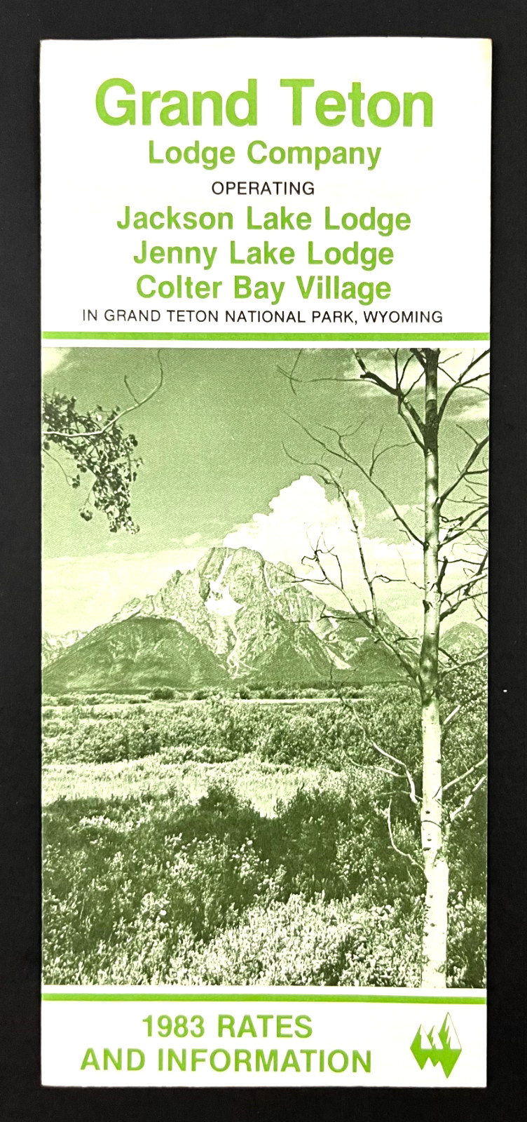 1983 Jackson Jenny Lake Colter Bay Grand Tetons Wyoming WY VTG Travel Brochure