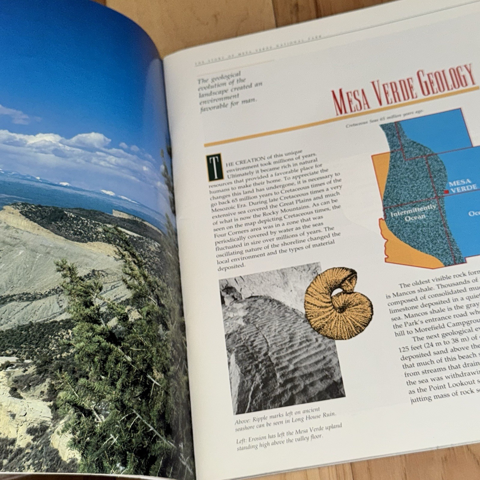 4 National Park Books – Mesa Verde, Arches, Petrified Forest, Natural Bridges