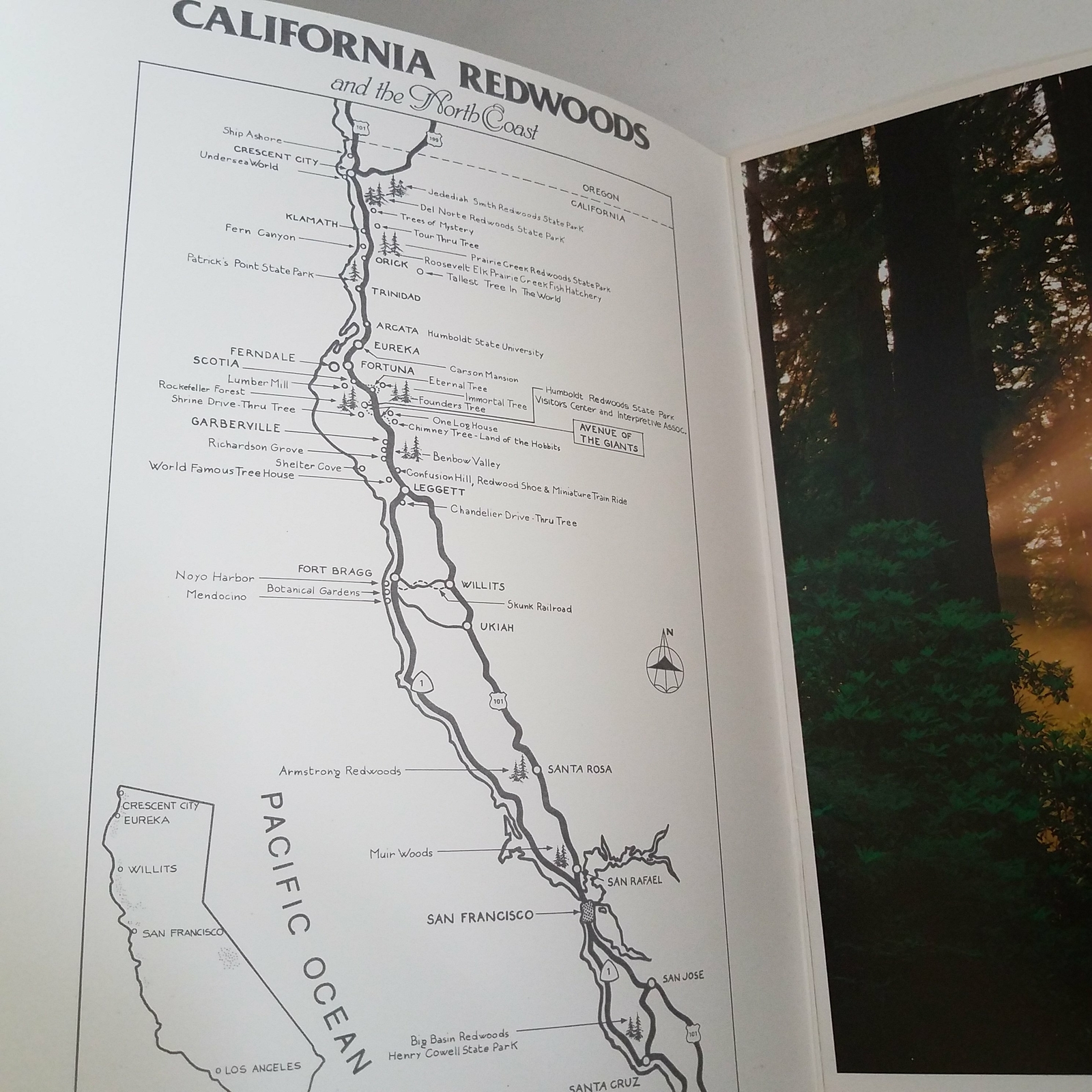 California Redwoods And The North Coast by Bob von Normann 1987 0915687003