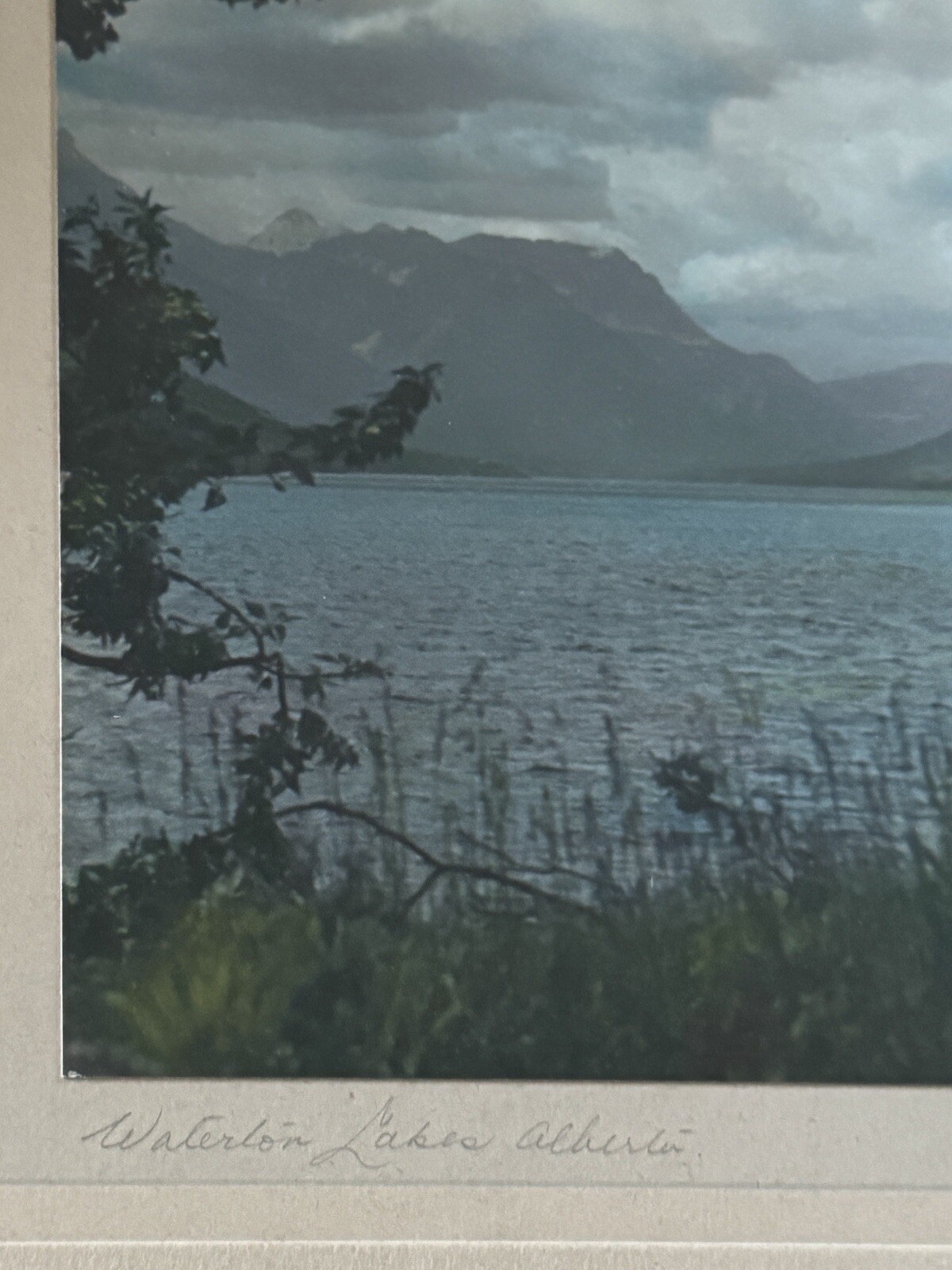 VTG 1920s Waterton Lakes Alberta Hand Tinted Photo AE Cross Studios Framed Art