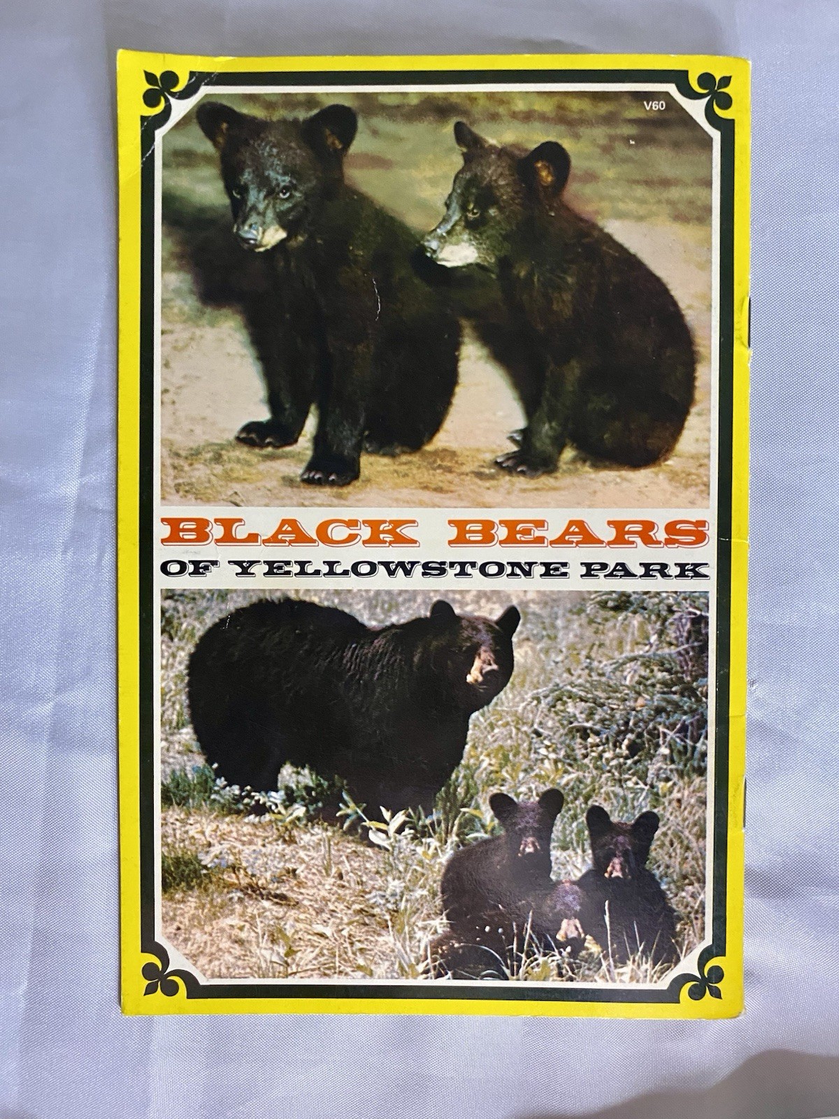 🏕️ Vintage Travel Book Lot of 4 1970s Yellowstone National Park Guides