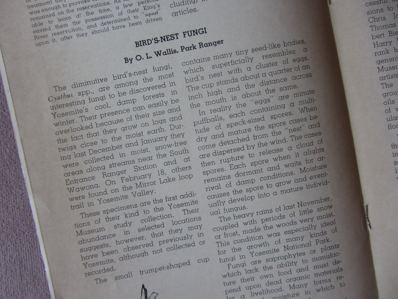 Vtg 1951 YOSEMITE National Park Nature Notes * Geography of Mariposa Indian War