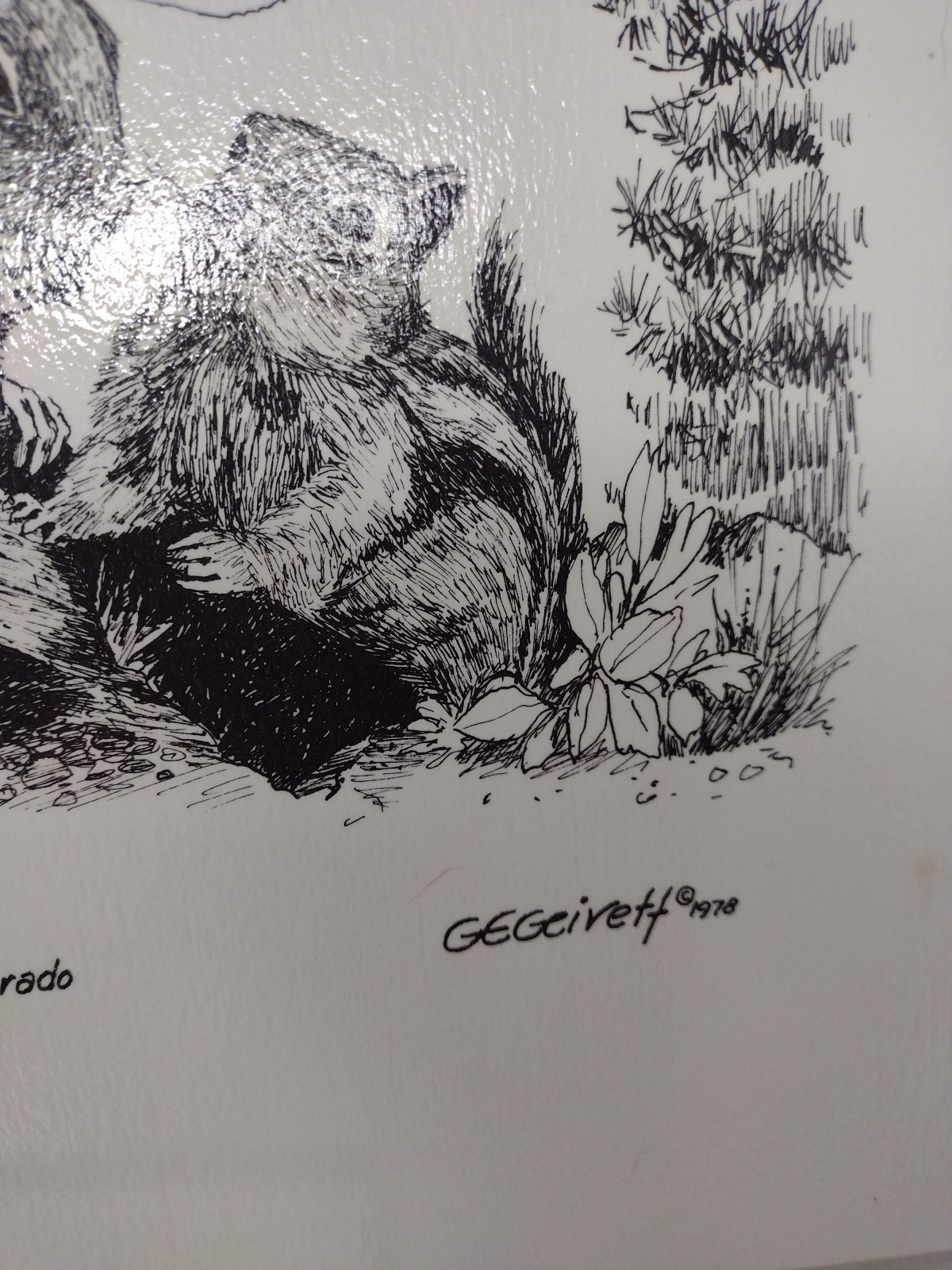 G.E. Geivett Print 1978 “Snack Time In Rocky Mtn Natl Park” Vintage Laminated