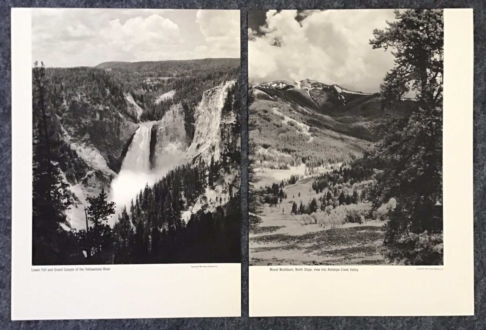 1951 Photographer Franz Lipp Yellowstone Natl Park 12 Image Portfolio 10×13.75”