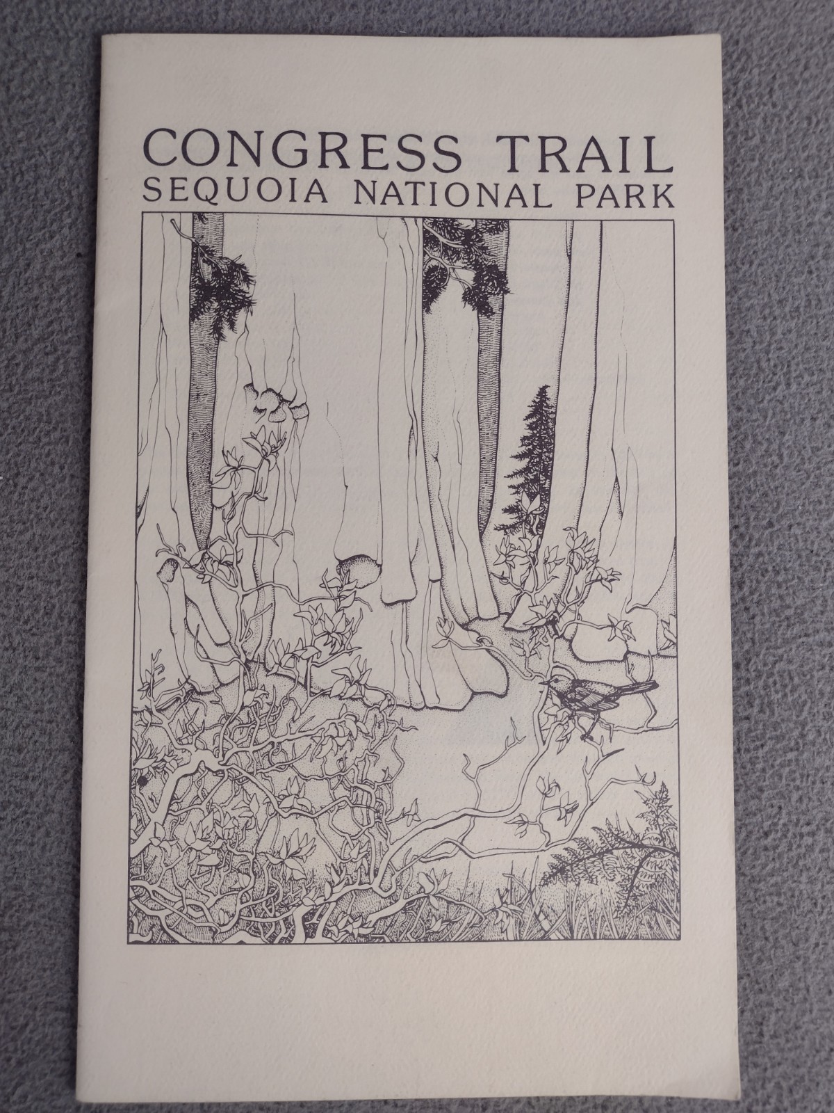 Sequoia National Park Booklet Brochure Congress Trail California Vintage 1985