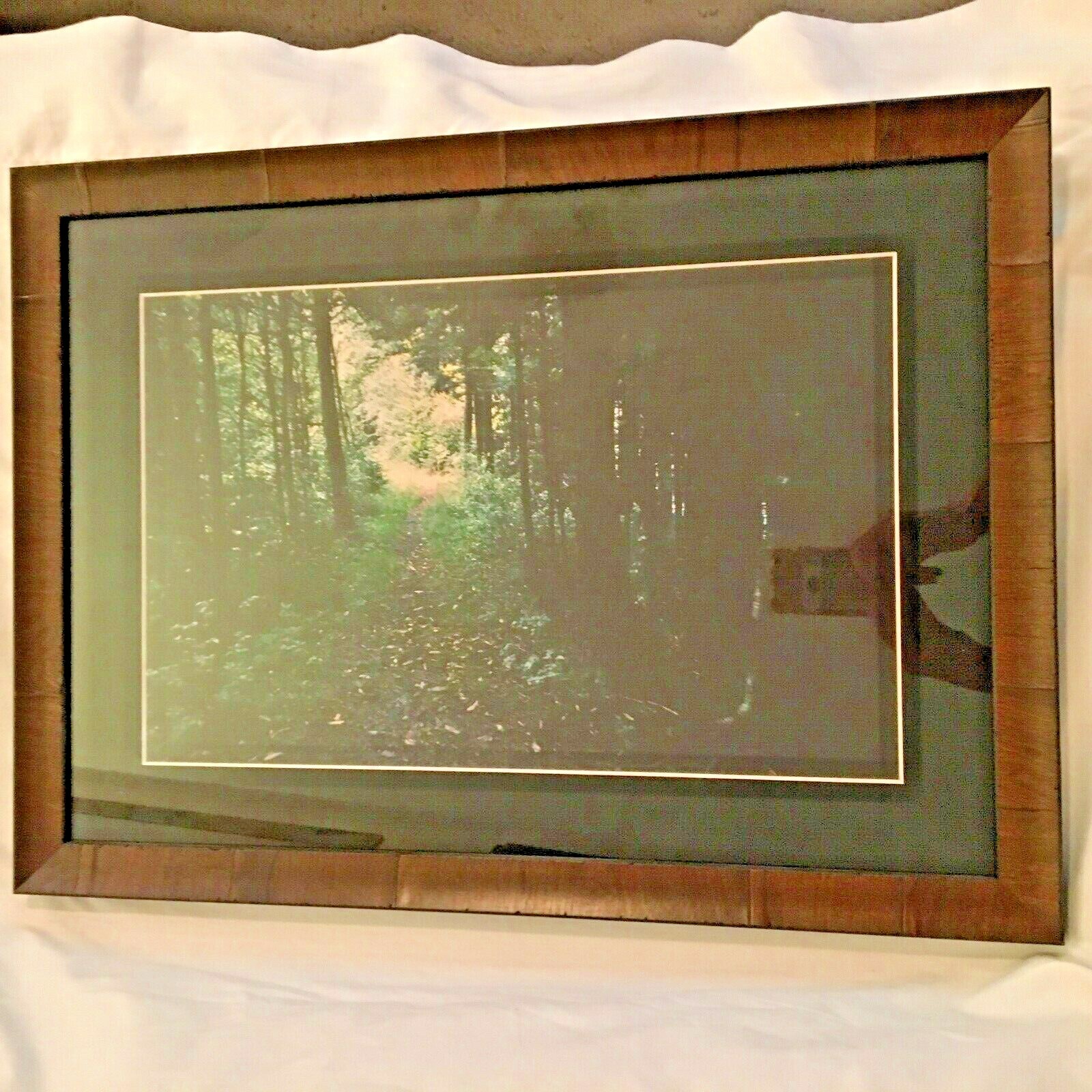 The Great Smokey Mountains Natural Original Photos & photographer w/notes