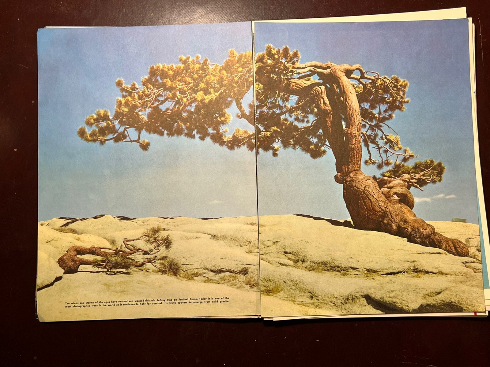 ** The Yosemite Story, (Maps- History- Romance) Souvenir Magazine, 1955
