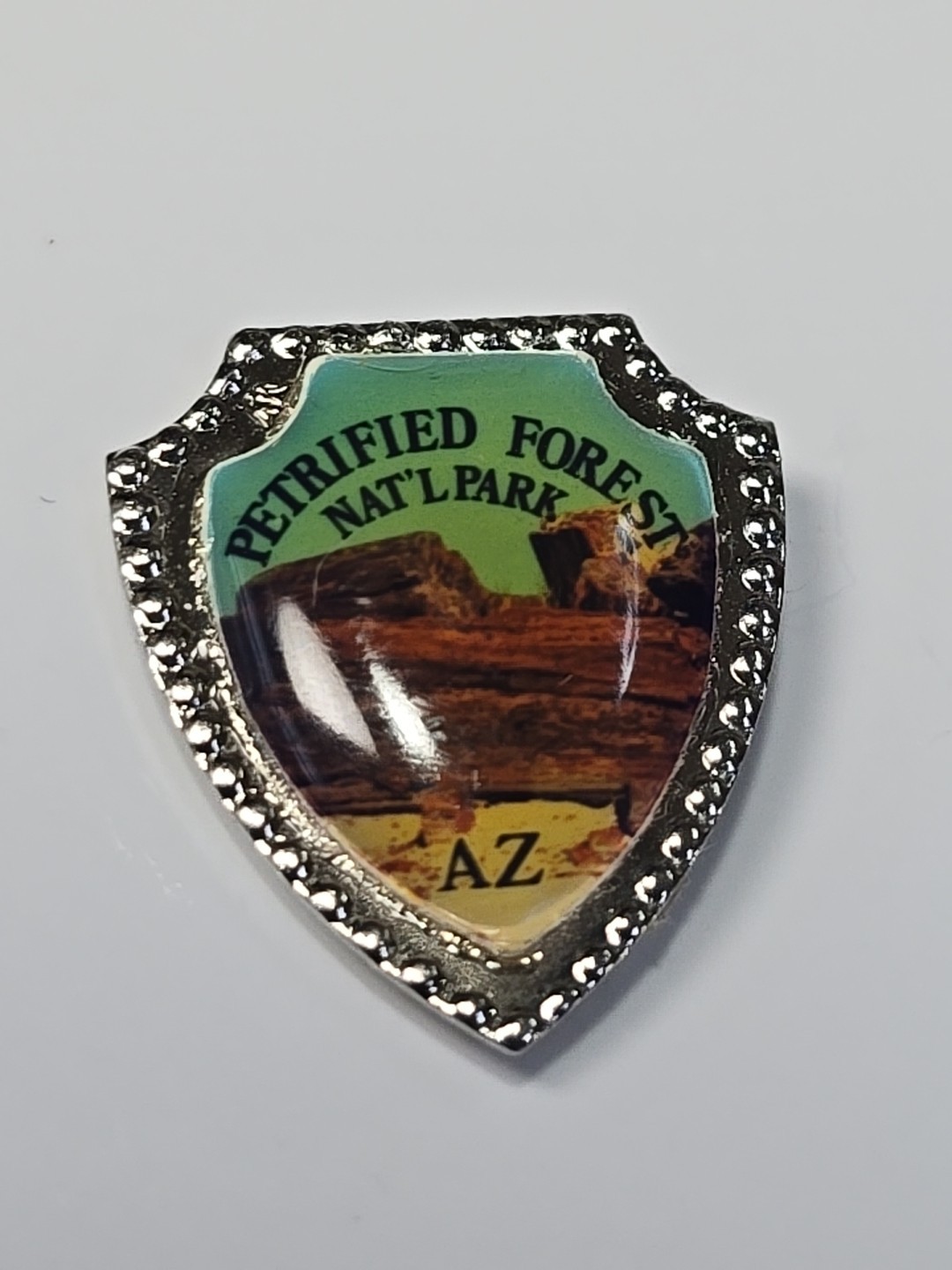 Petrified Forest National Park Travel Souvenir Lapel Pin Arizona SMALL SIZE