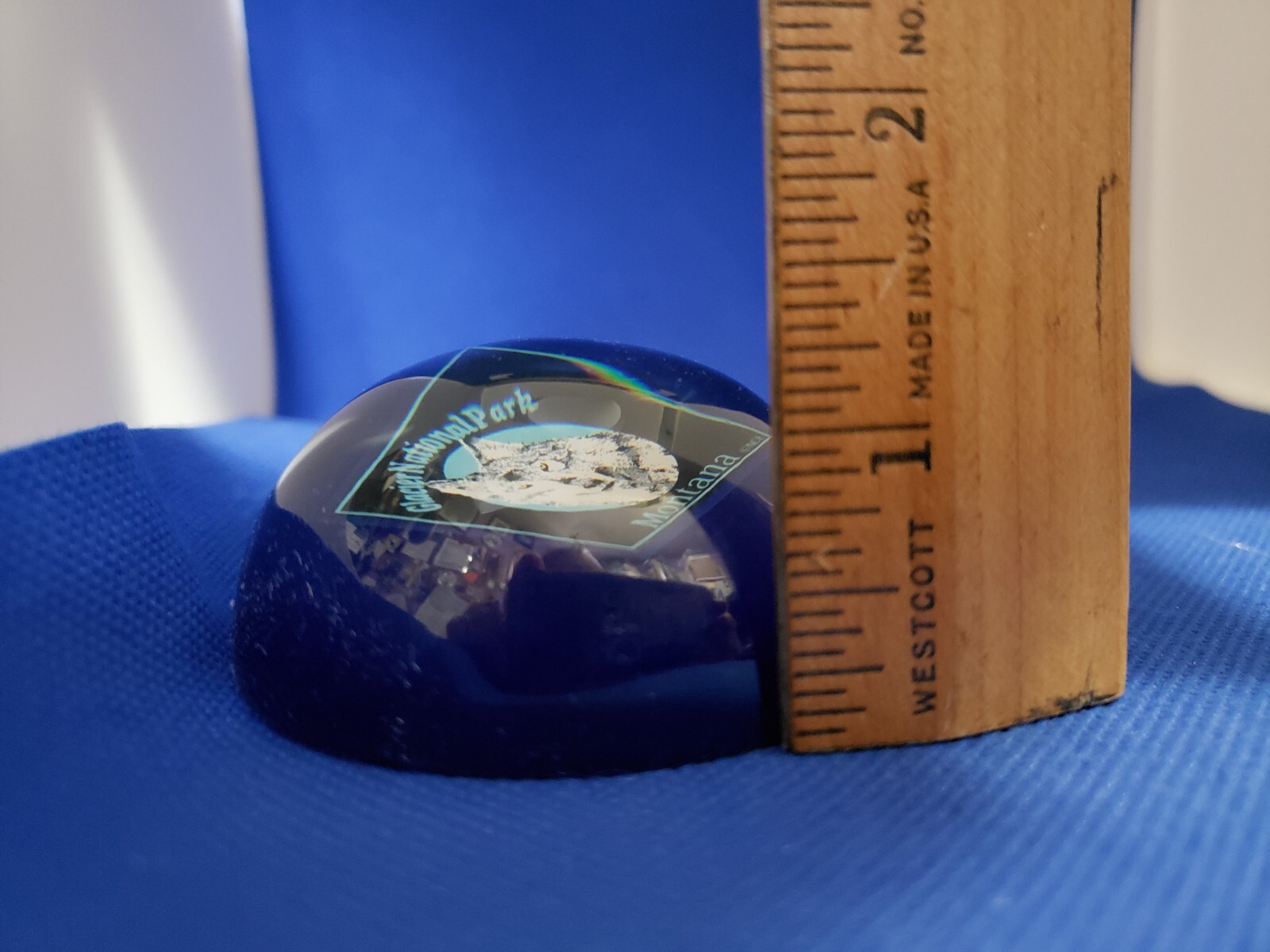Blue W/ White Wolf Paper Weight Souvenir From Glacier National Park New Gift 🎁