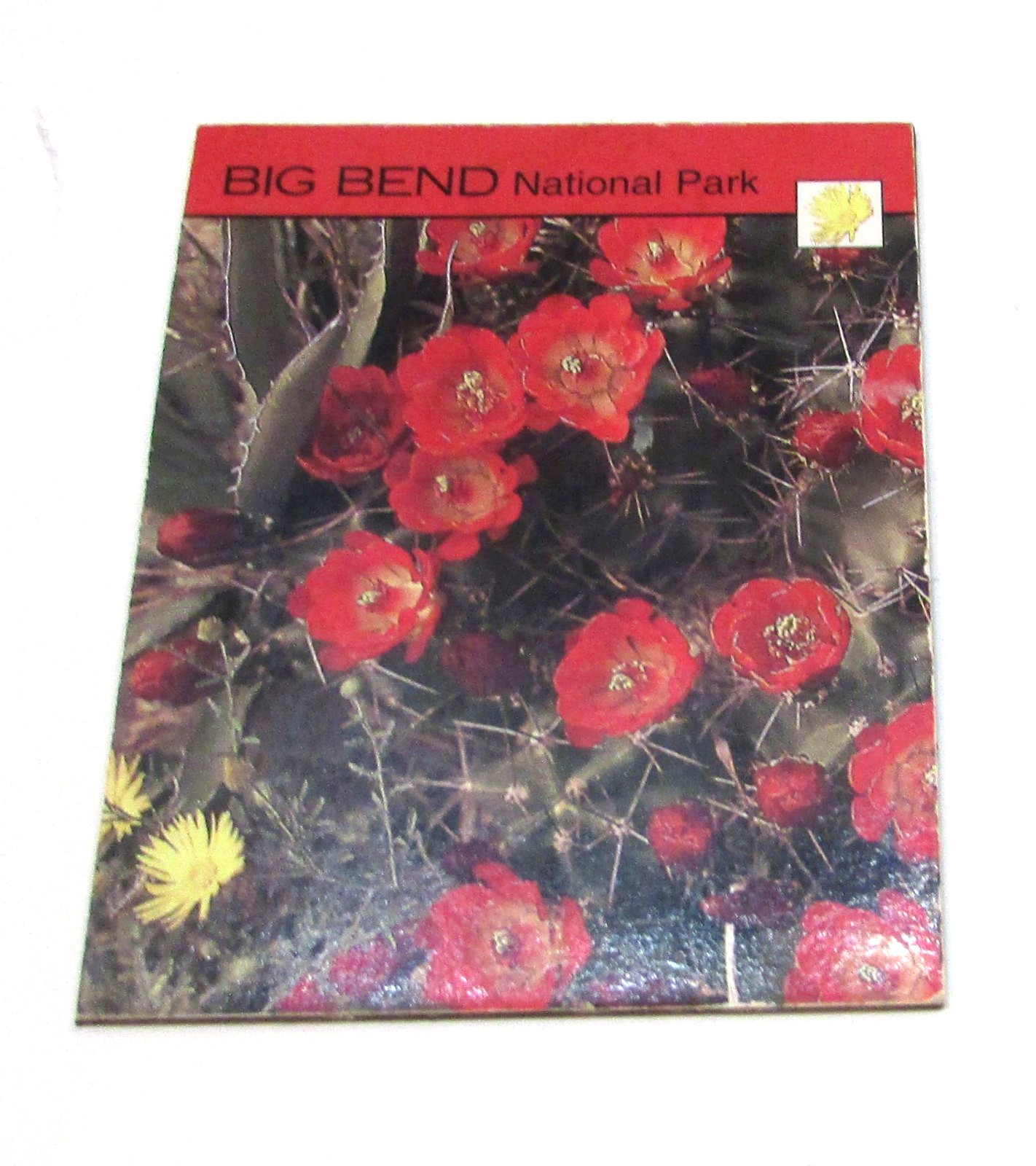 Big Bend National Park Red Poppy Wildflowers Rectangle Vinyl Refrigerator Magnet