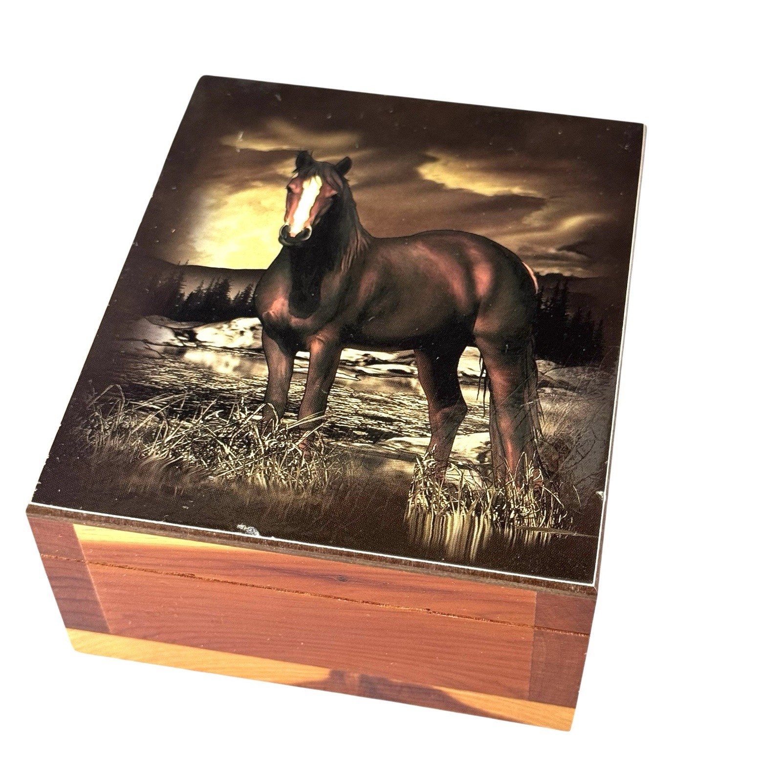 Vintage Lake Placid New York Wood Cedar Box Standing Horse Hinged Souvenir Box