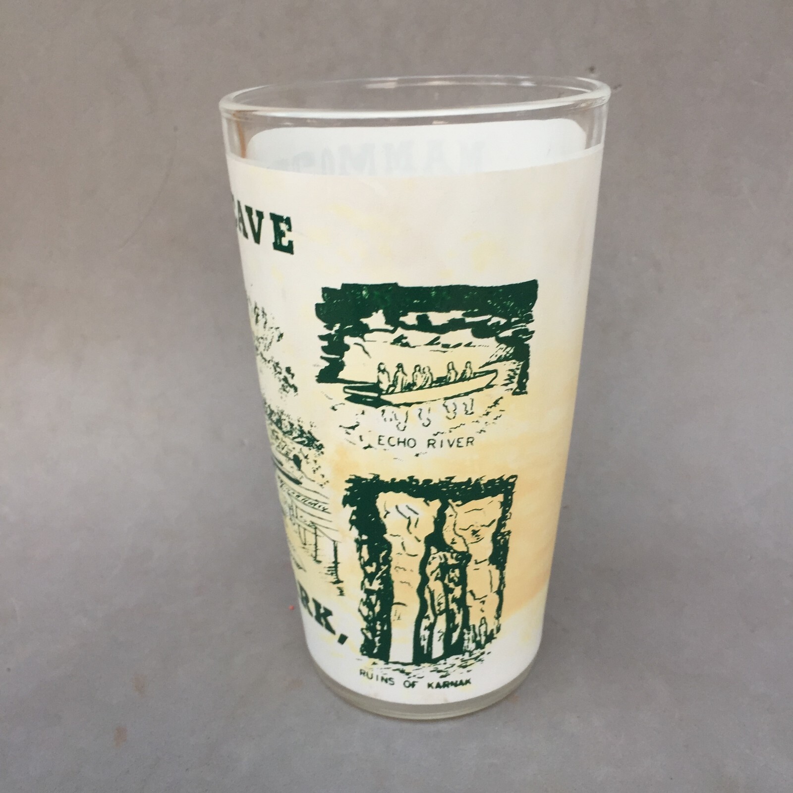 Mammoth Cave National Park Kentucky Souvenir Drink Glass Tumbler Vintage Frosted