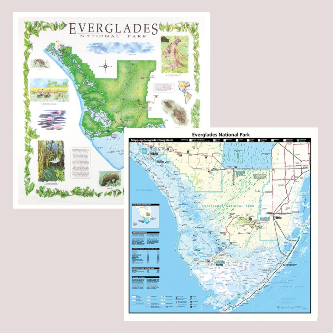 Florida National Park Bandanna 2-Pack Bundle Everglades Map Nature Facts Info
