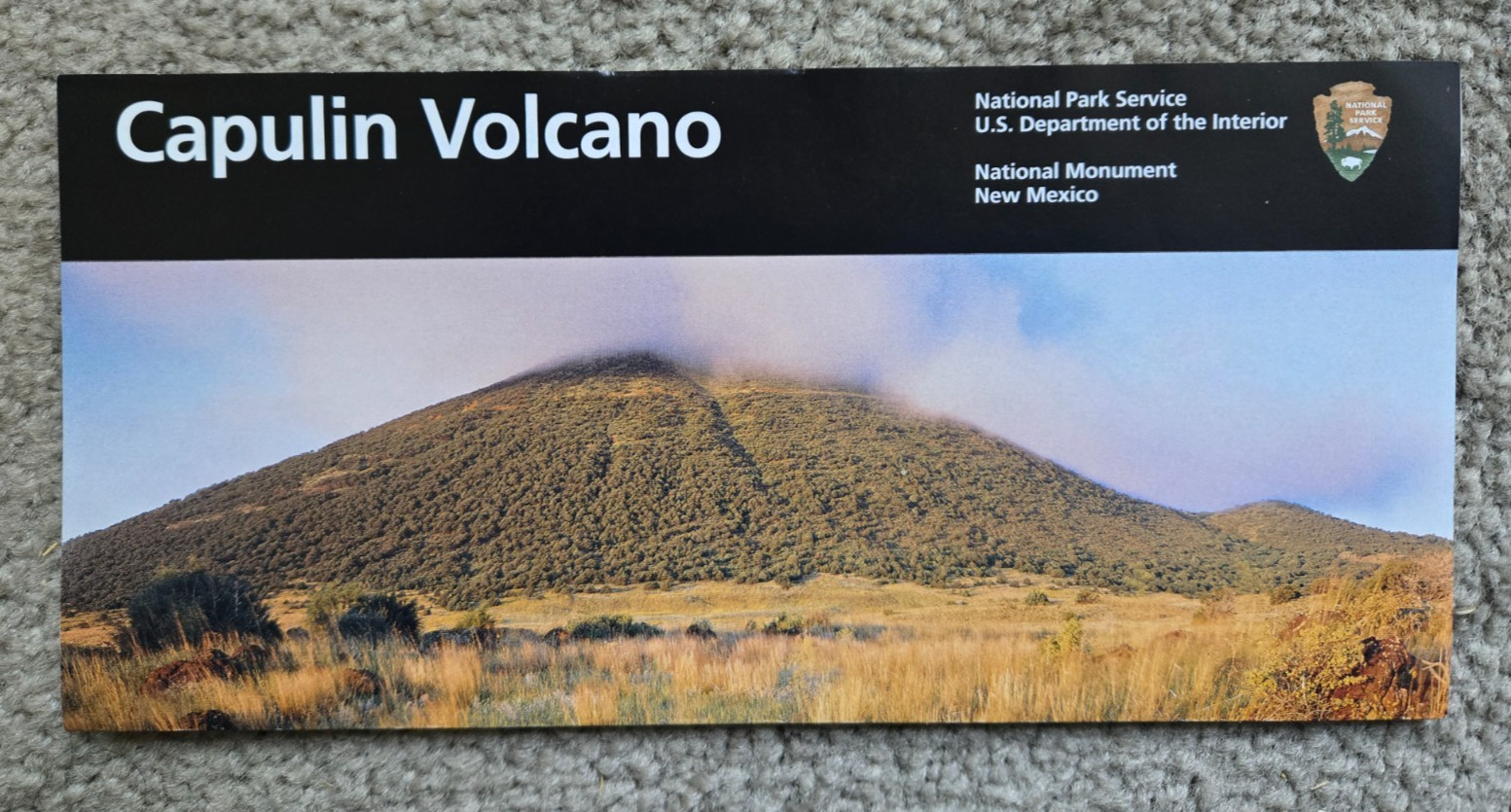 Lot of 10 New Mexico National Park Service unigrid brochures (with Carlsbad)