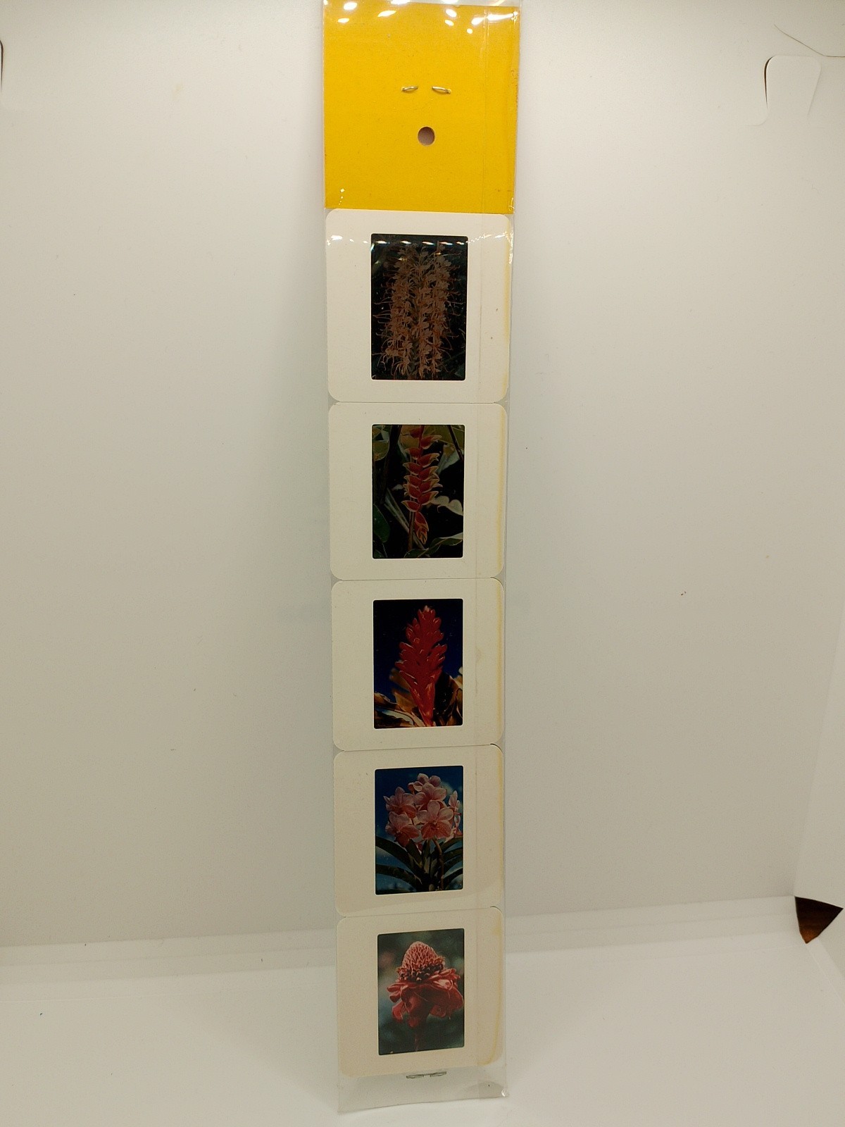 Vintage Kodak 5 Color Slides 2×2 – Hawaiian Flowers