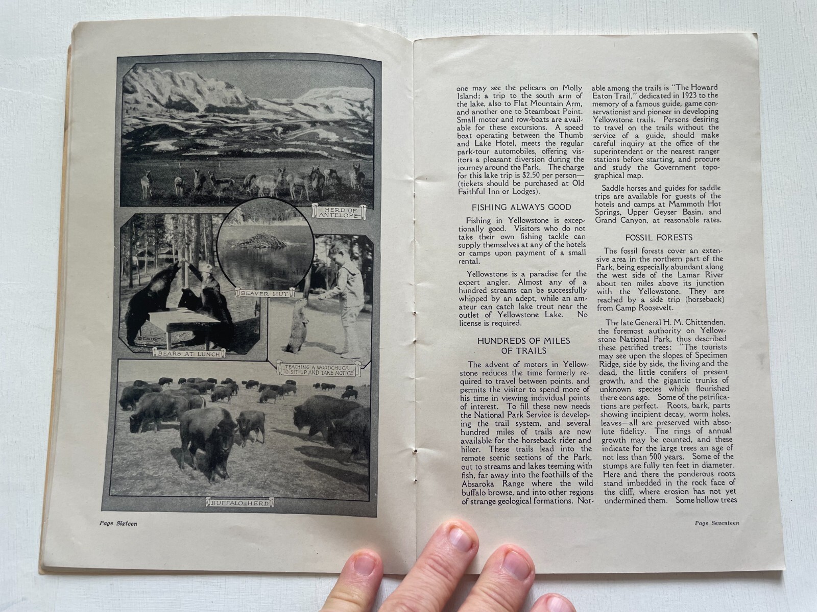 1925 Yellowstone National Park Travel Brochure / Guide by Northern Pacific Rail