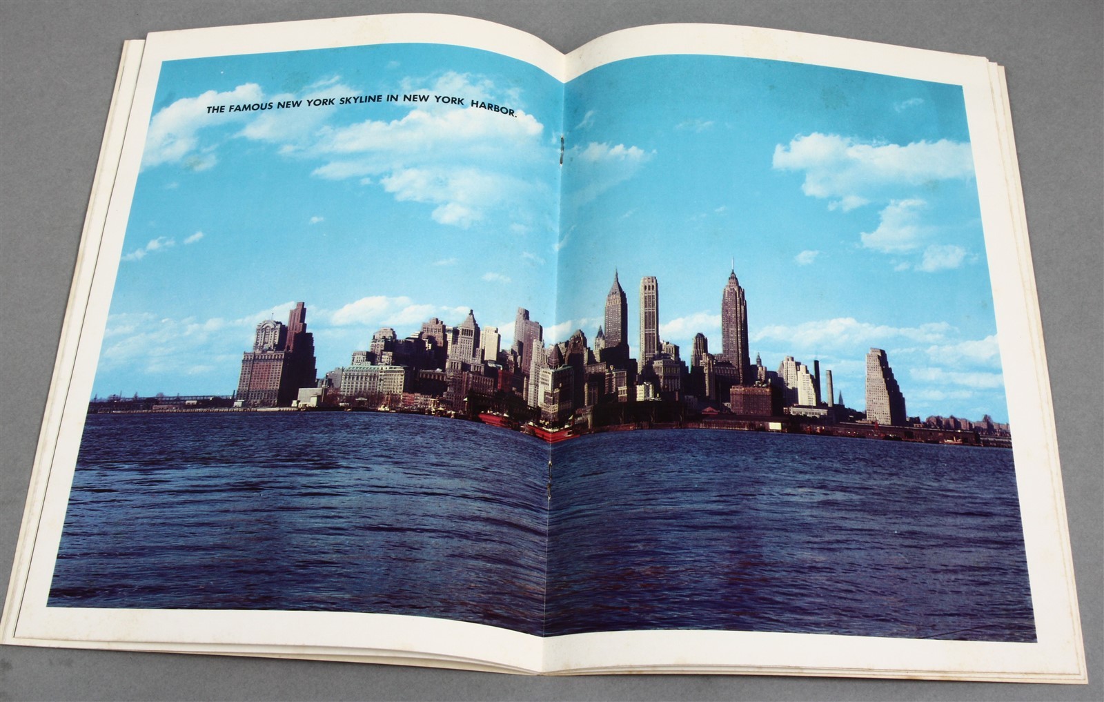 1970 NESTERS NEW YORK in Color in Pictures in Design Maps Guide Book Souvenir