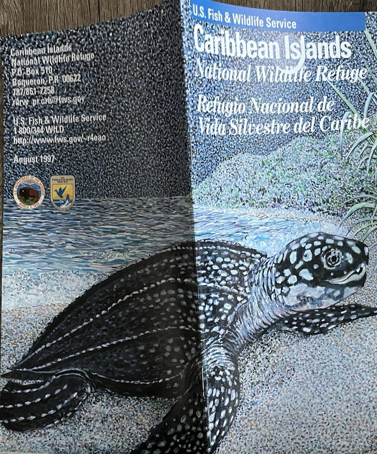 National Parks, USFWS, US Forest Service Brochures, Guide Books, Jr Rangers, CD!