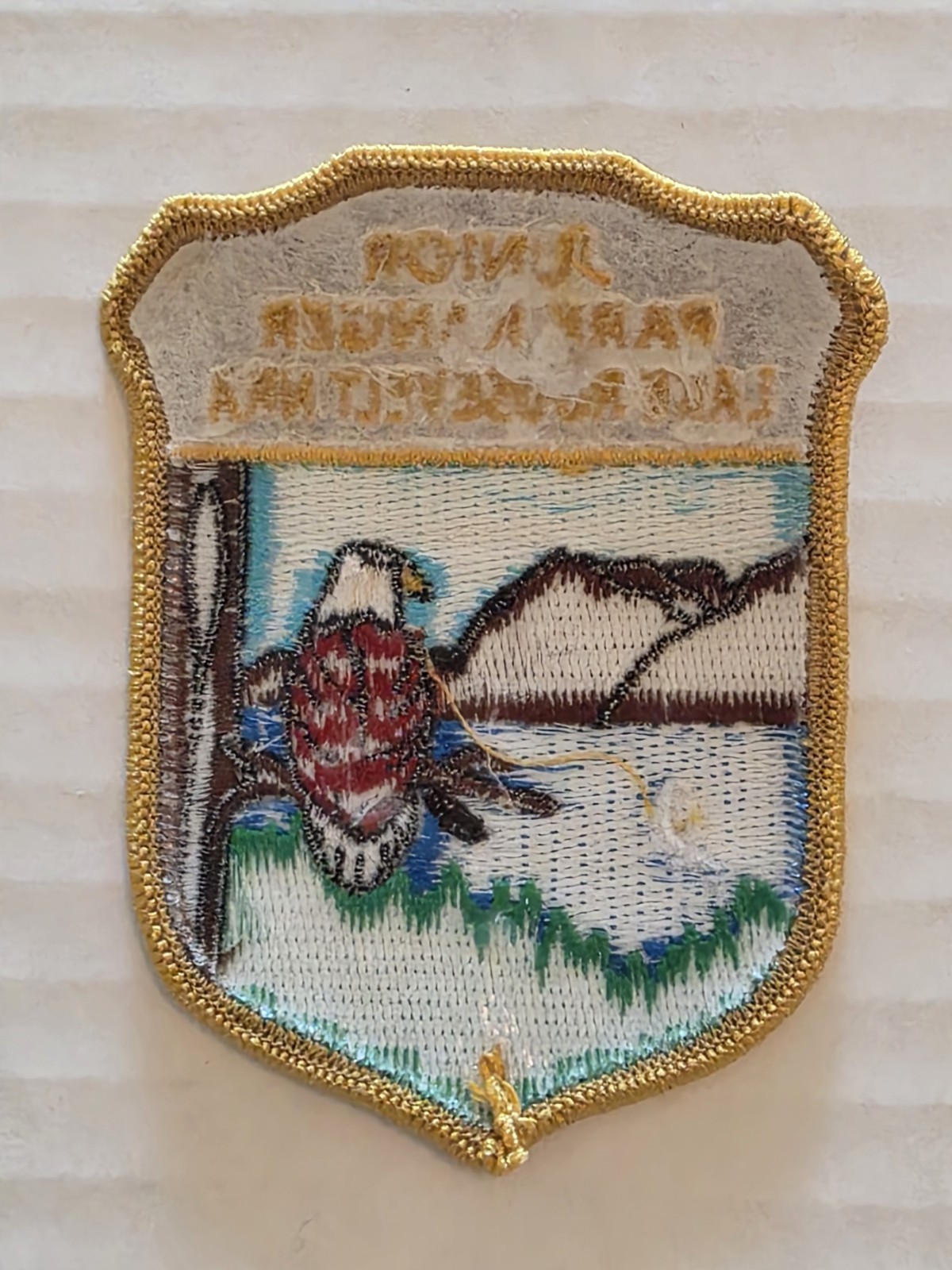 Junior Ranger Lake Roosevelt NPS Patch National Park