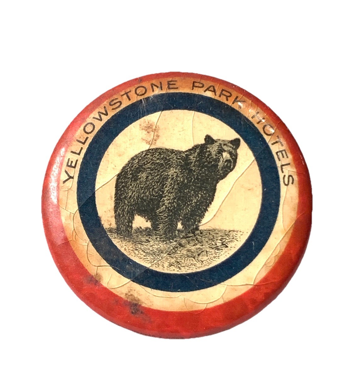 Vintage Antique 1900s Yellowstone Park Hotels Bear Cracked Celluloid Pin