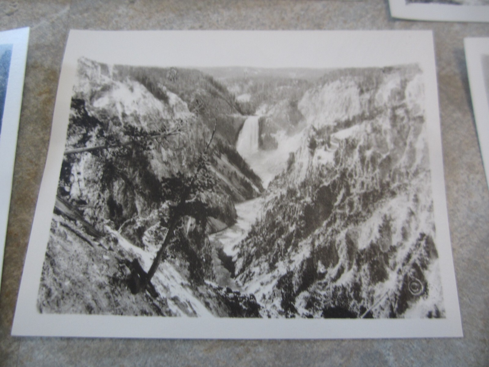 Lot of 19 Old Vintage 1940’s – YELLOWSTONE National PARK – HAYNES PHOTOS